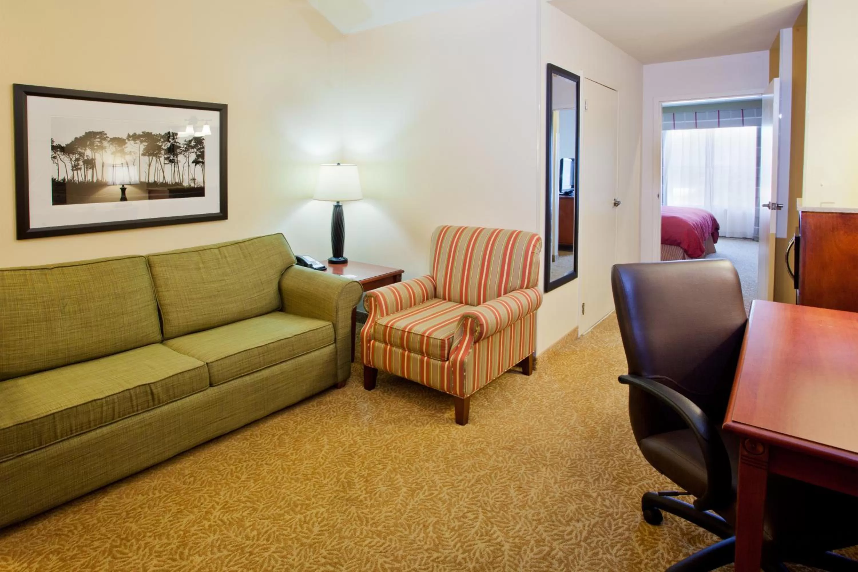 One-Bedroom King Suite - Non-Smoking in Country Inn & Suites by Radisson, Atlanta I-75 South, GA