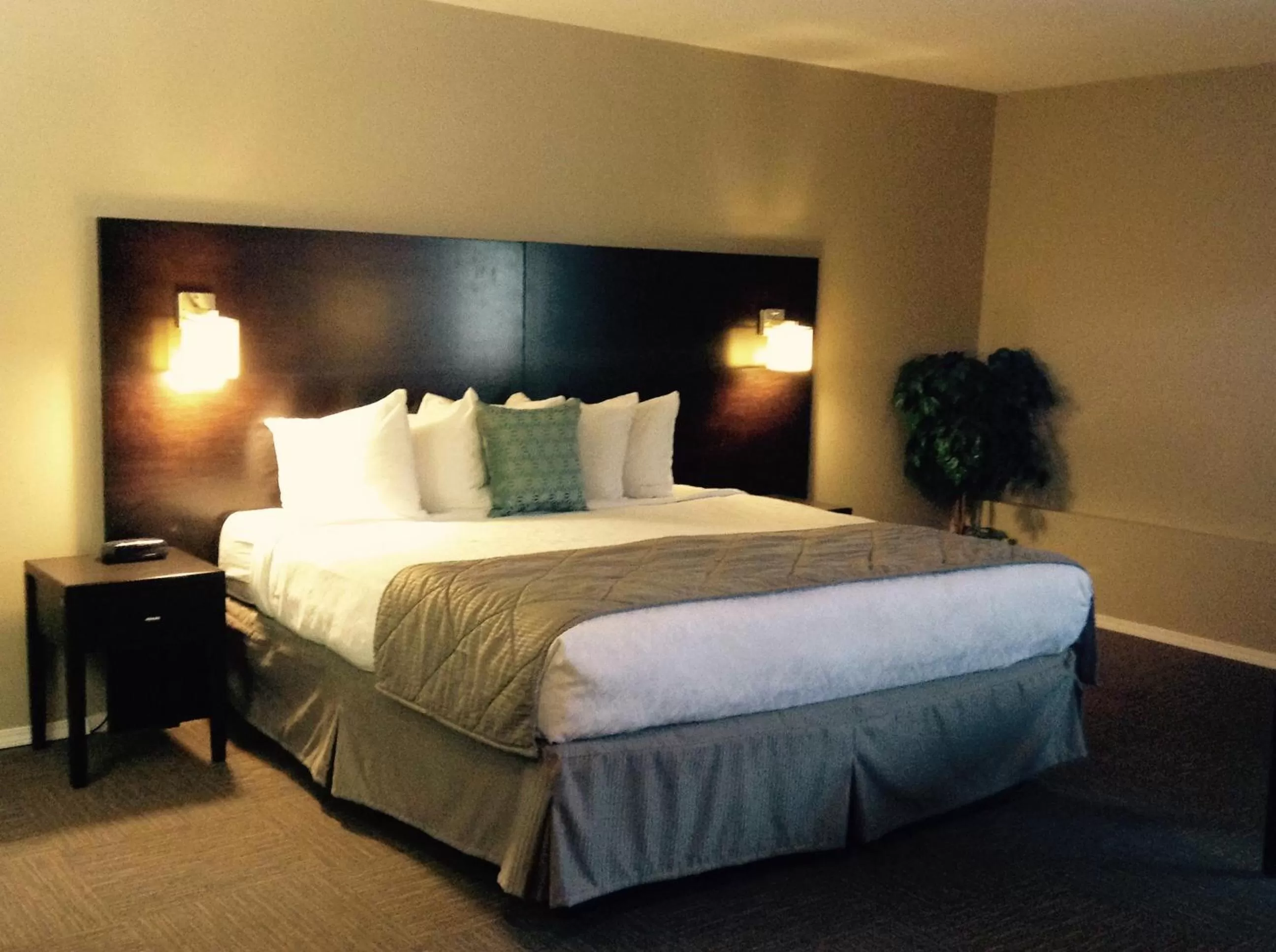 Queen Studio with Two Queen Beds - Non-Smoking in Super 8 by Wyndham West Kelowna BC