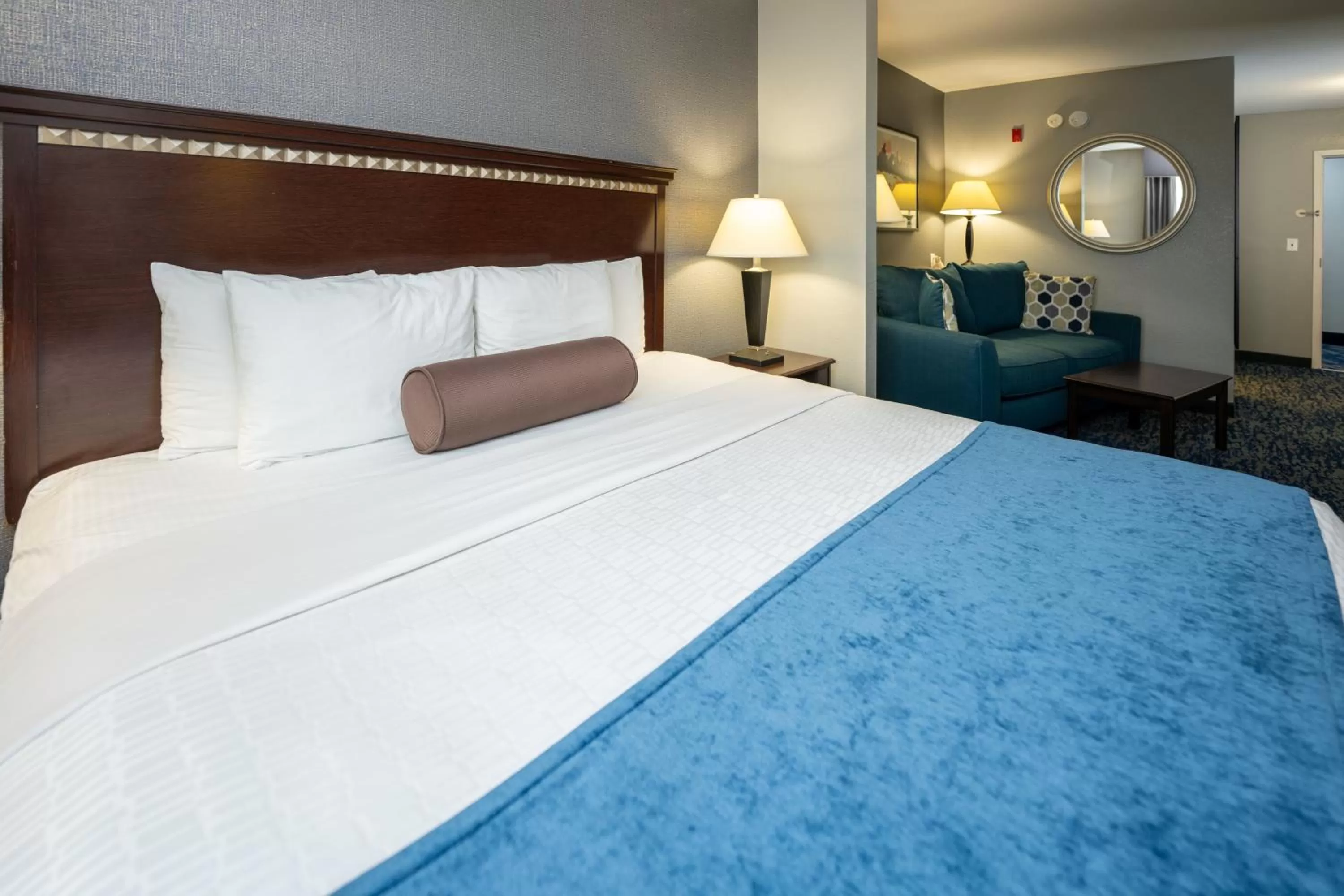 One Room Suite - Disability Access/Non Smoking in Comfort Suites Seabrook - Kemah