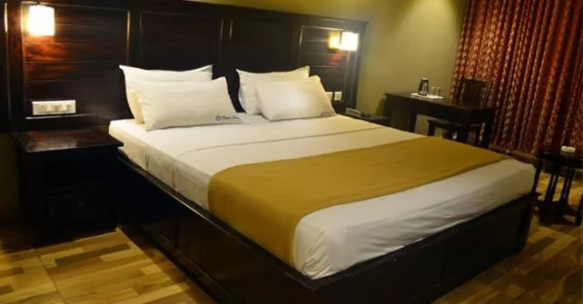 Deluxe Double Room - single occupancy in Ranis Grand