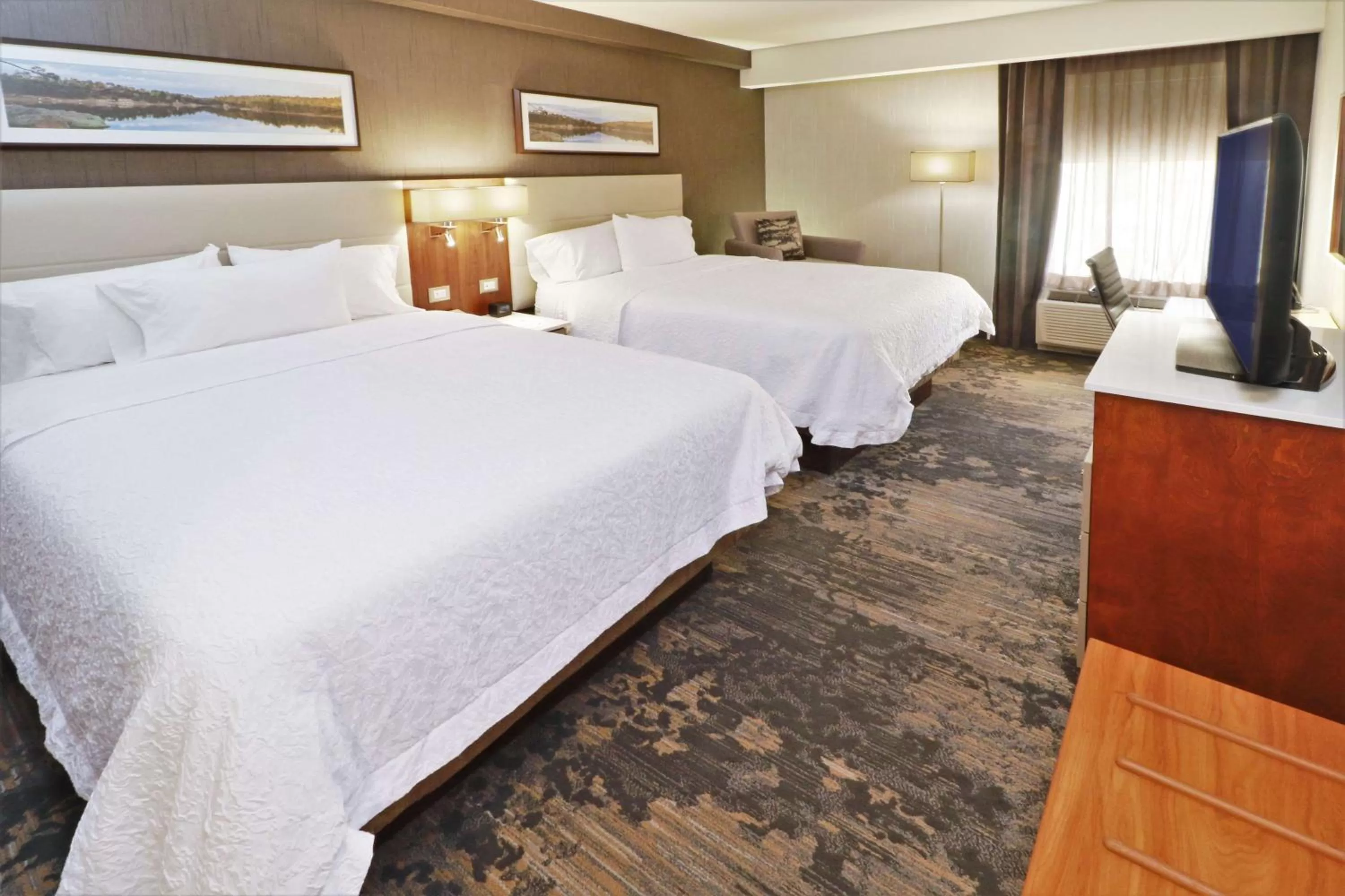 2 Queen Beds - Non-Smoking in Hampton by Hilton Chihuahua