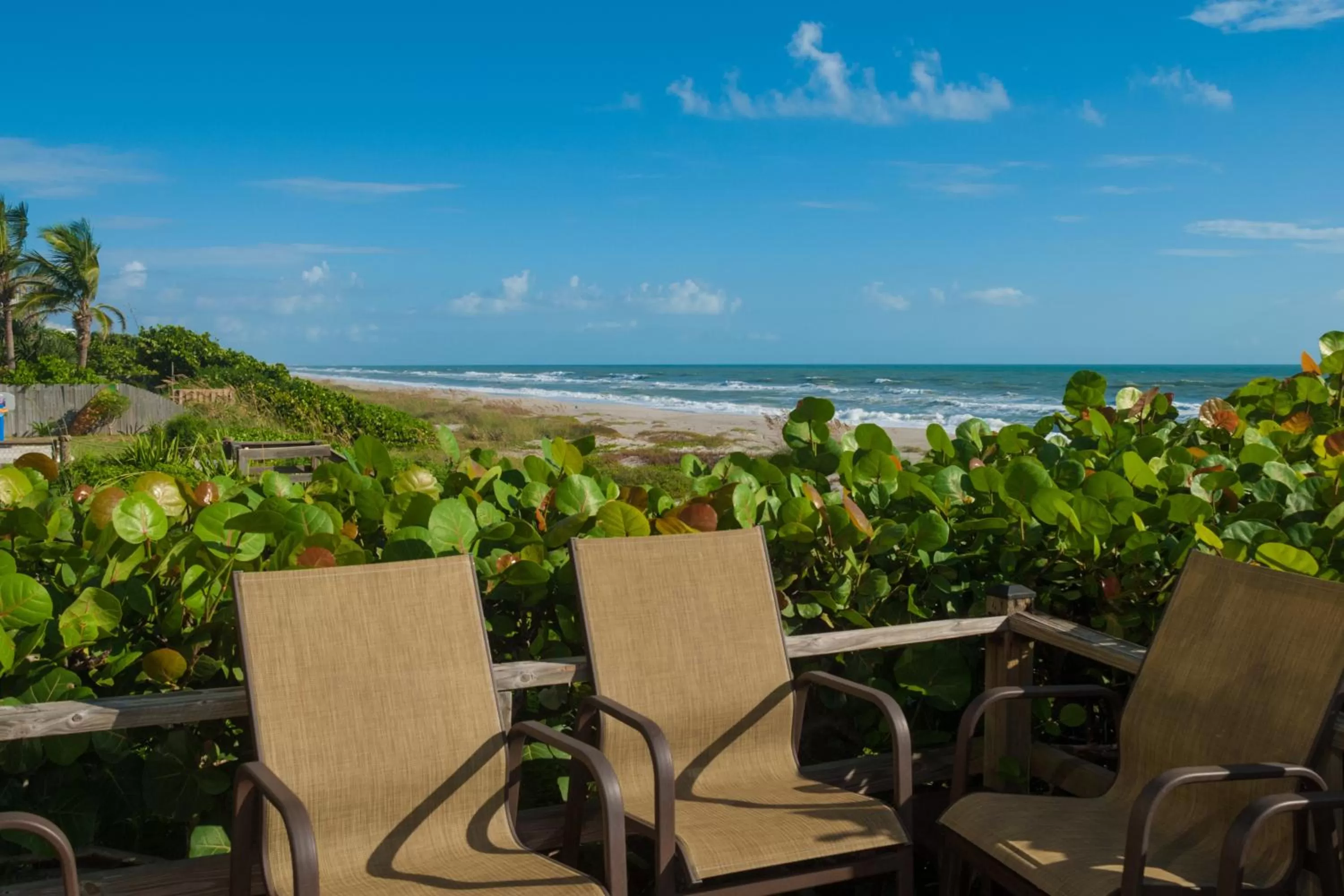 1 Queen Bed 1st Floor Ocean Front with Patio in Tuckaway Shores Resort