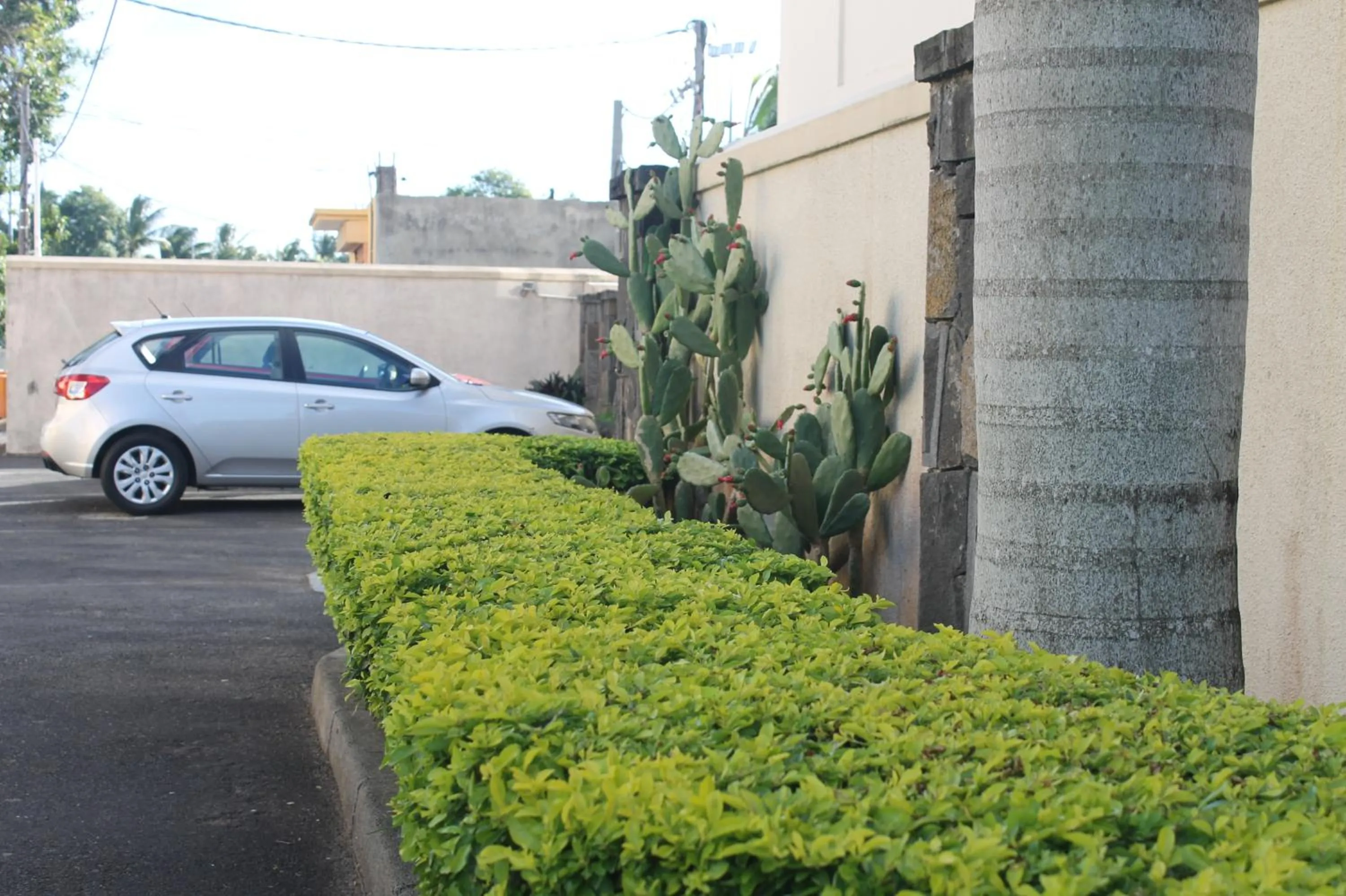 Apartment in Grand Bay Suites