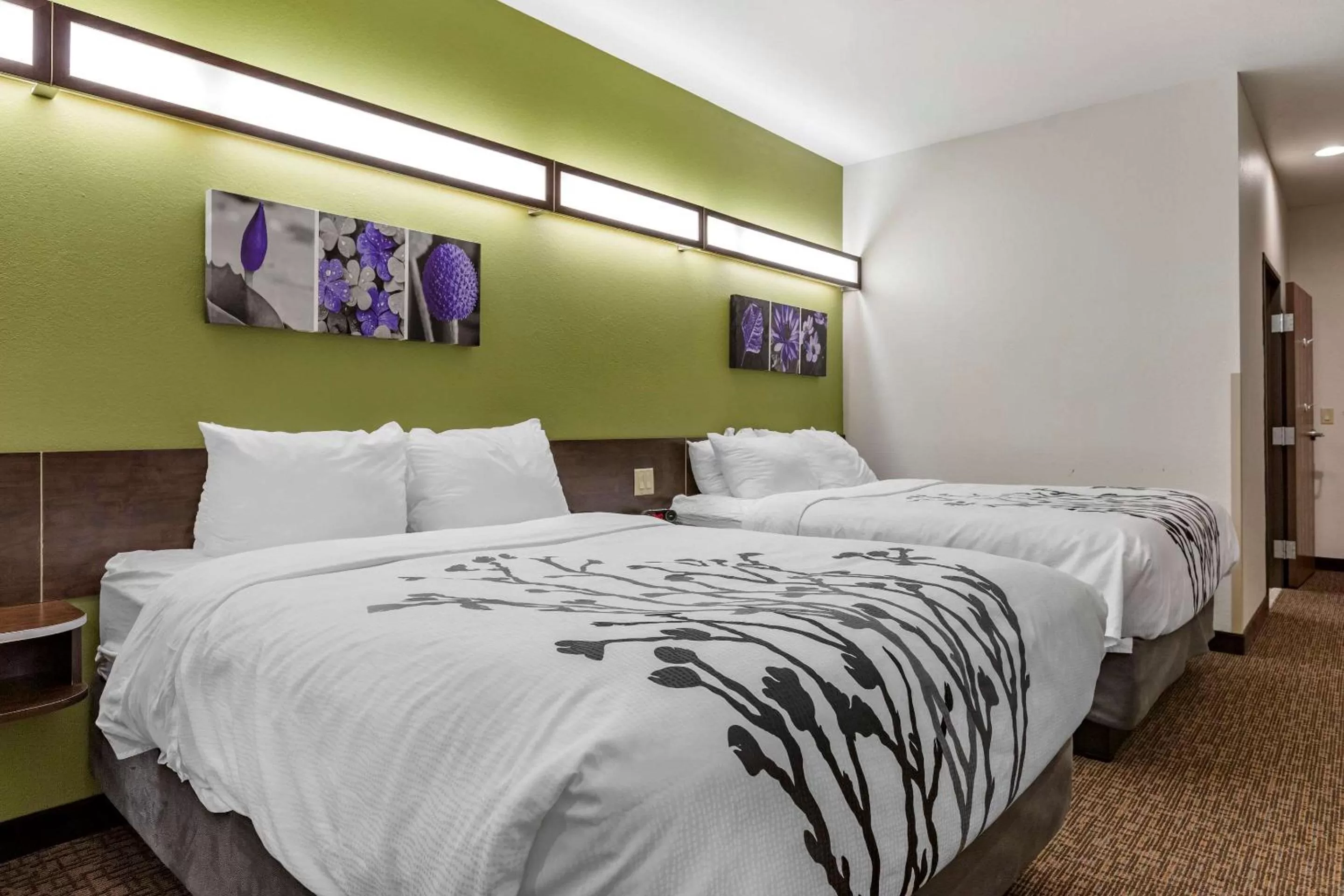 Standard Queen Room with Two Queen Beds - Non Smoking  in Sleep Inn & Suites Kalamazoo Southwest