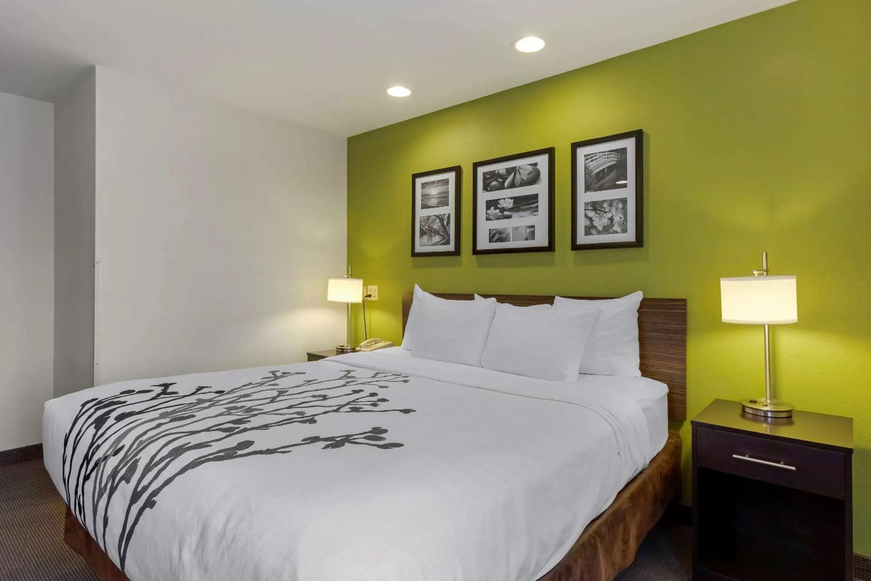 King Room - Accessible/Non-Smoking in Sleep Inn Ontario