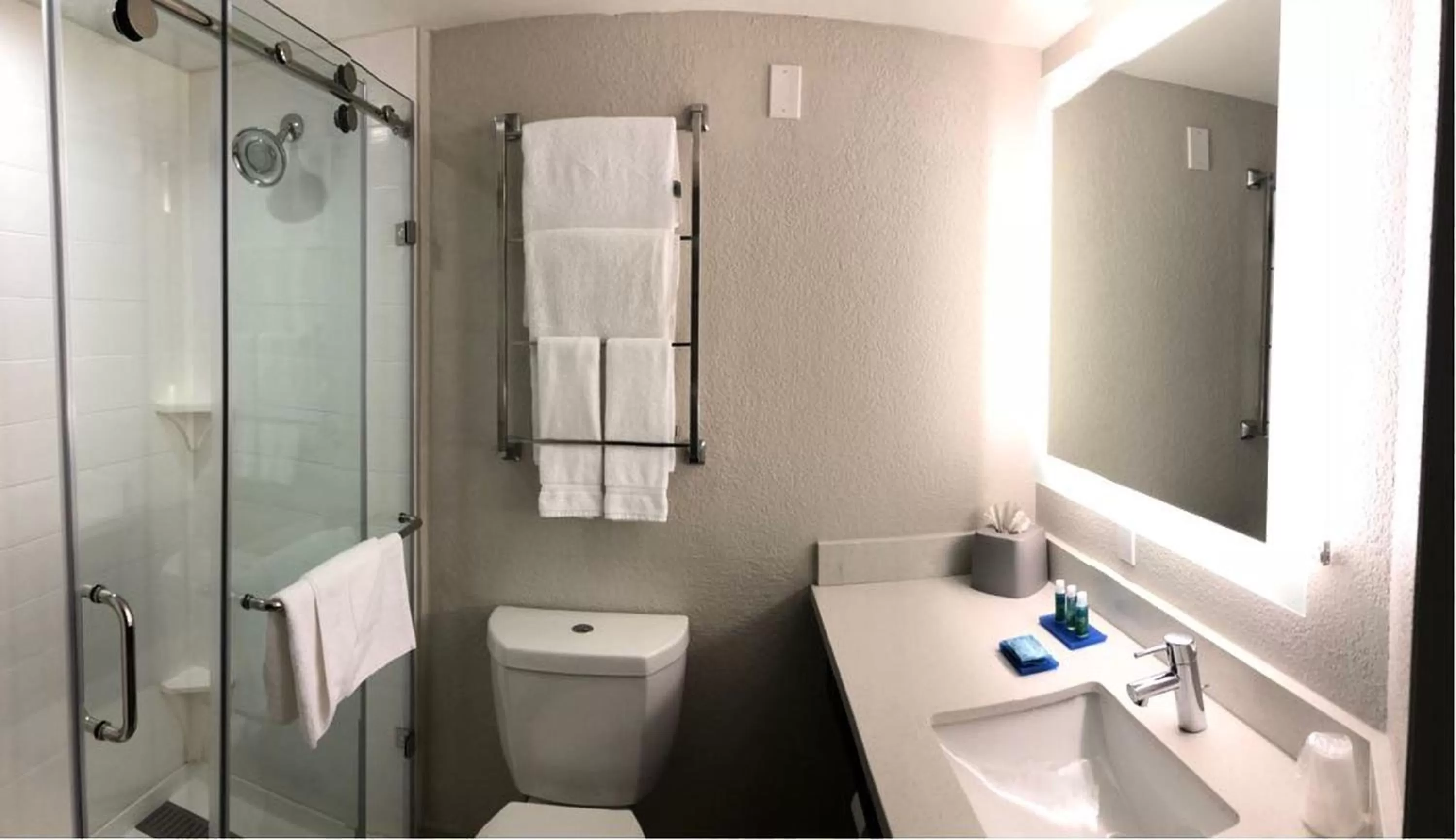 One-Bedroom Suite in Holiday Inn Express Hotel & Suites Miami - Hialeah by IHG