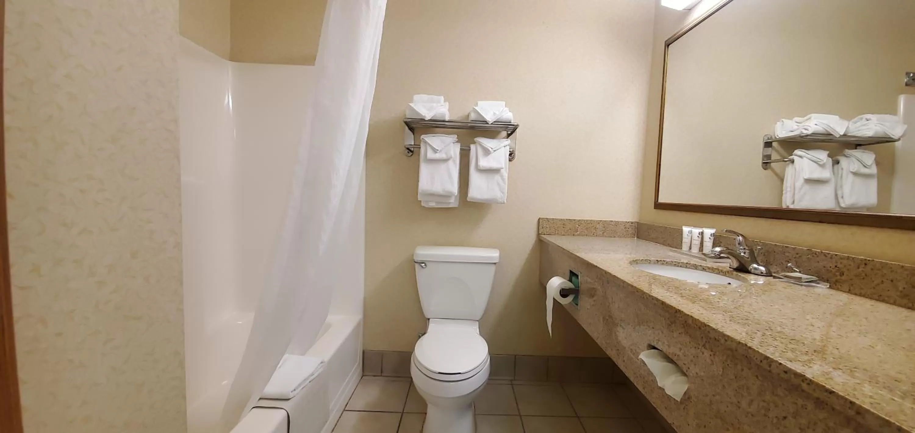 One-Bedroom King Suite - Non-Smoking in Wingate by Wyndham Youngstown - Austintown