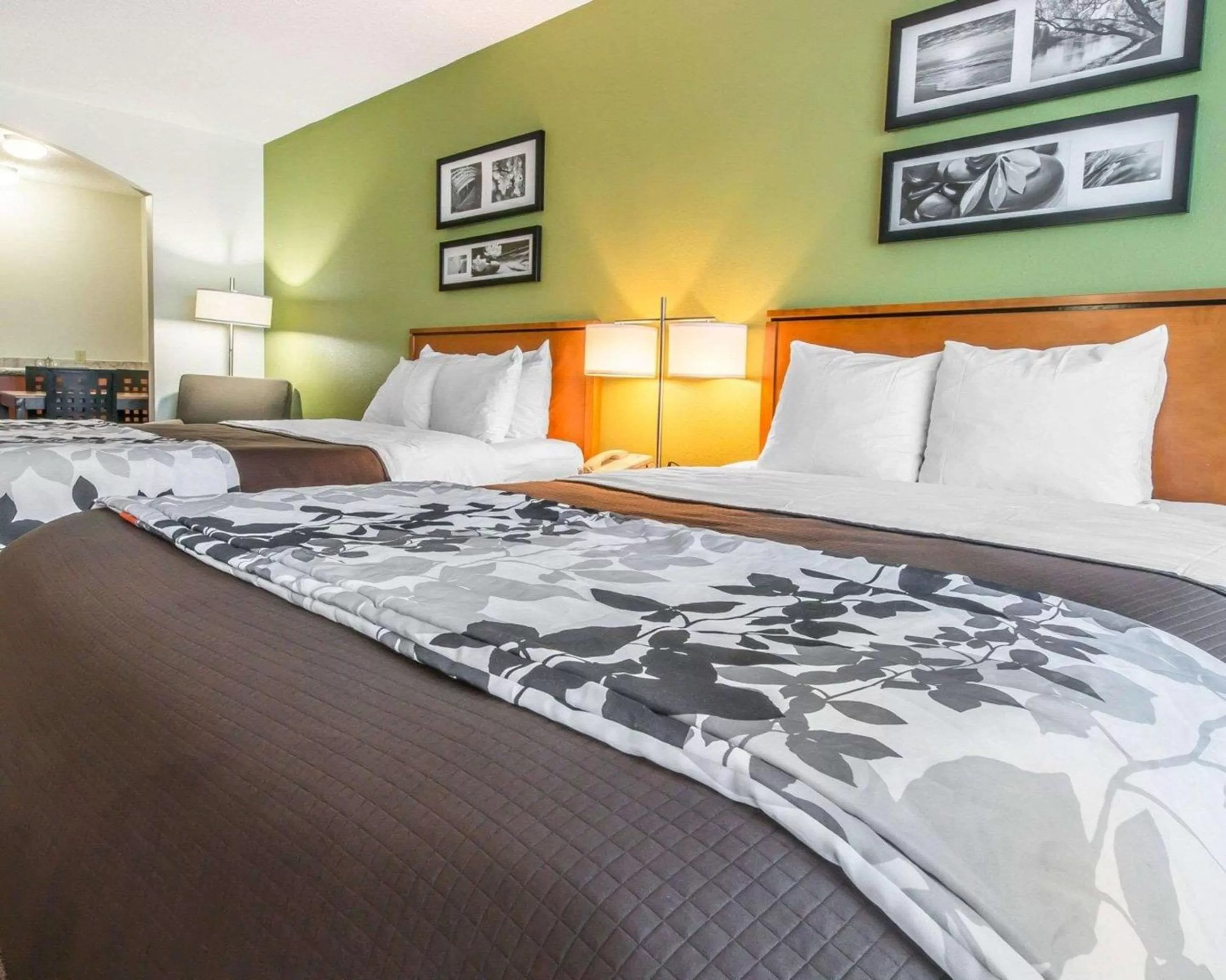 Standard Queen Room with Two Queen Beds- Non Smoking in Sleep Inn & Suites Winchester