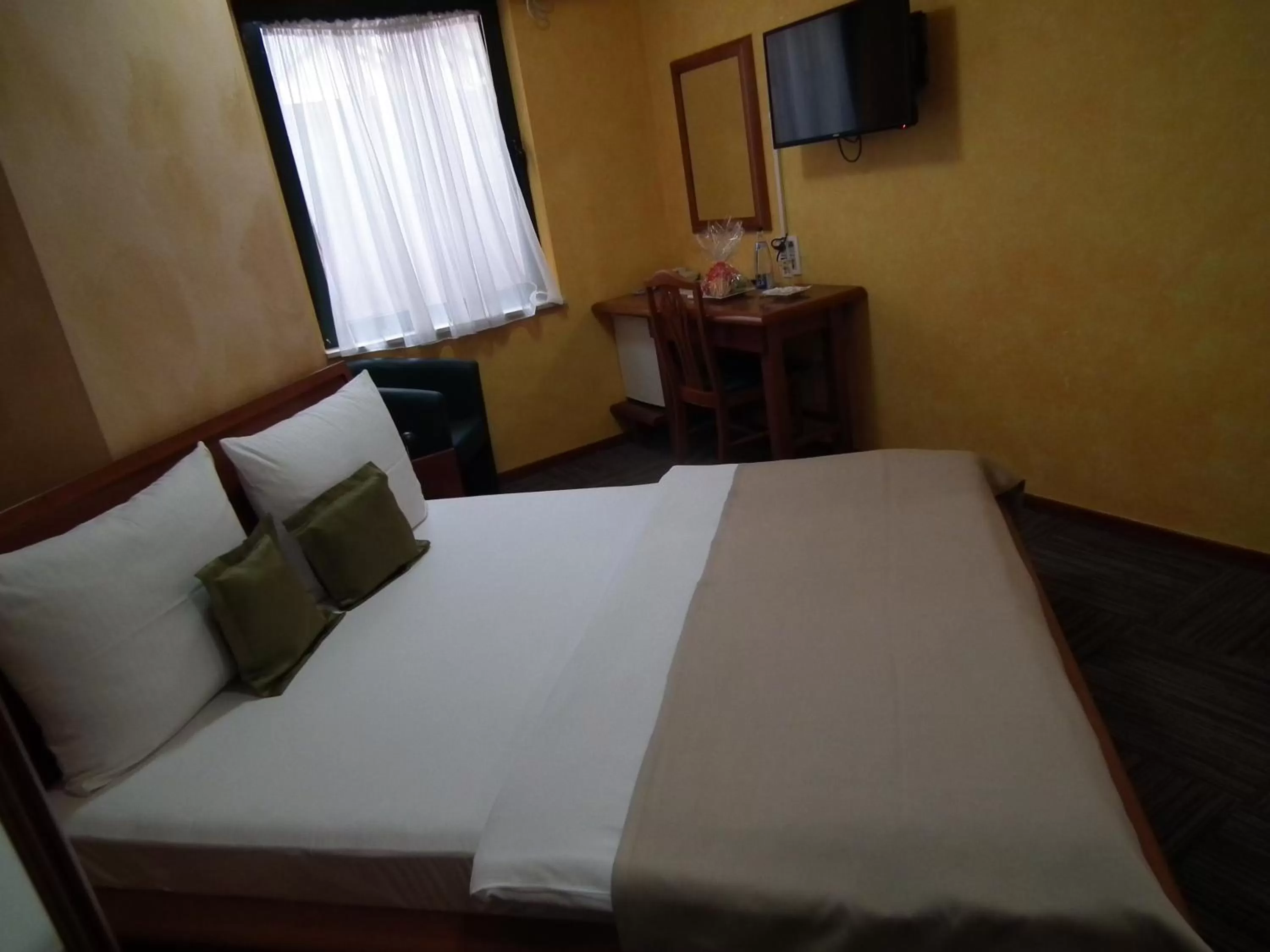 Double Room - single occupancy in Hotel Kerber