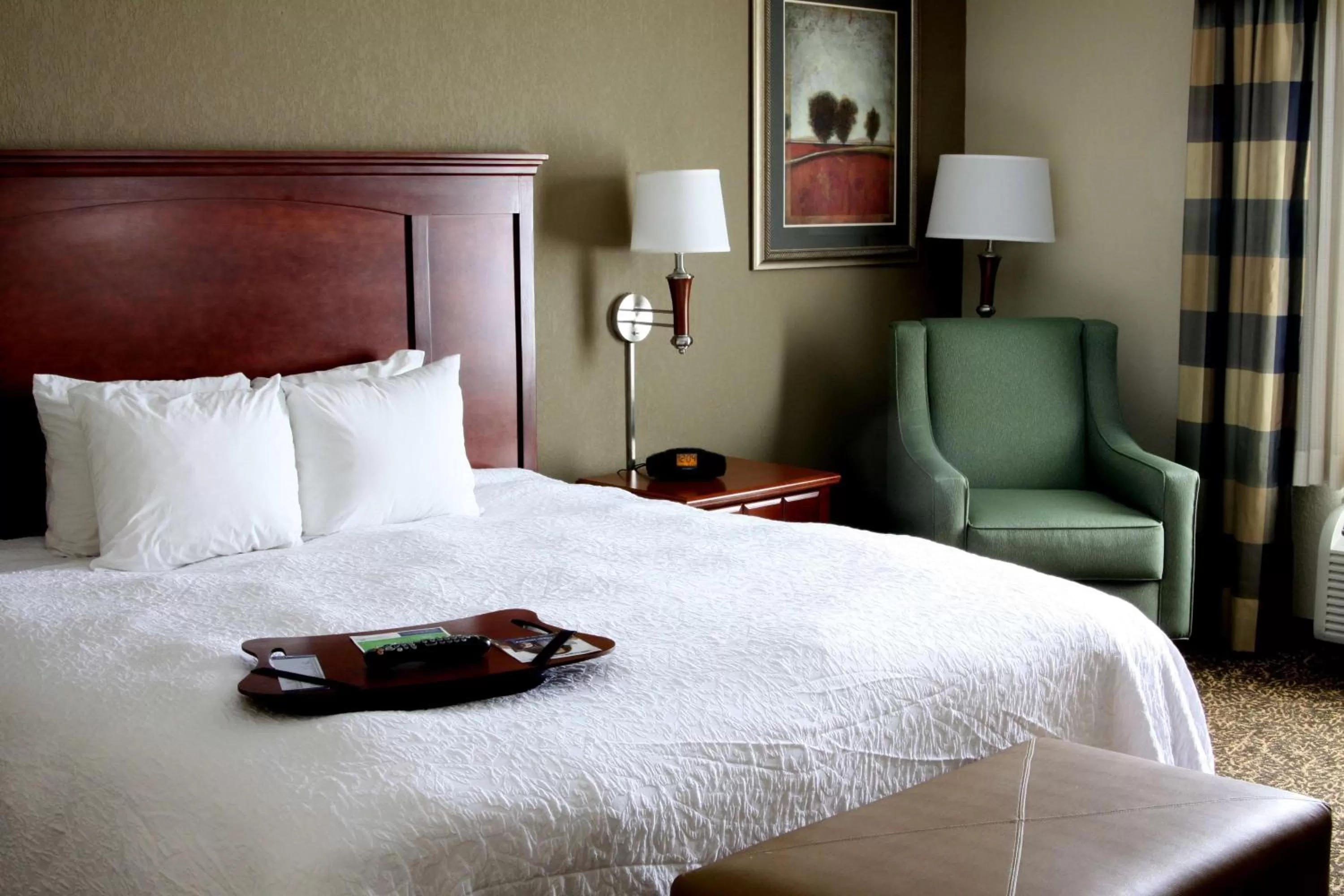 King Room with King Bed - Non-Smoking in Hampton Inn & Suites Paducah