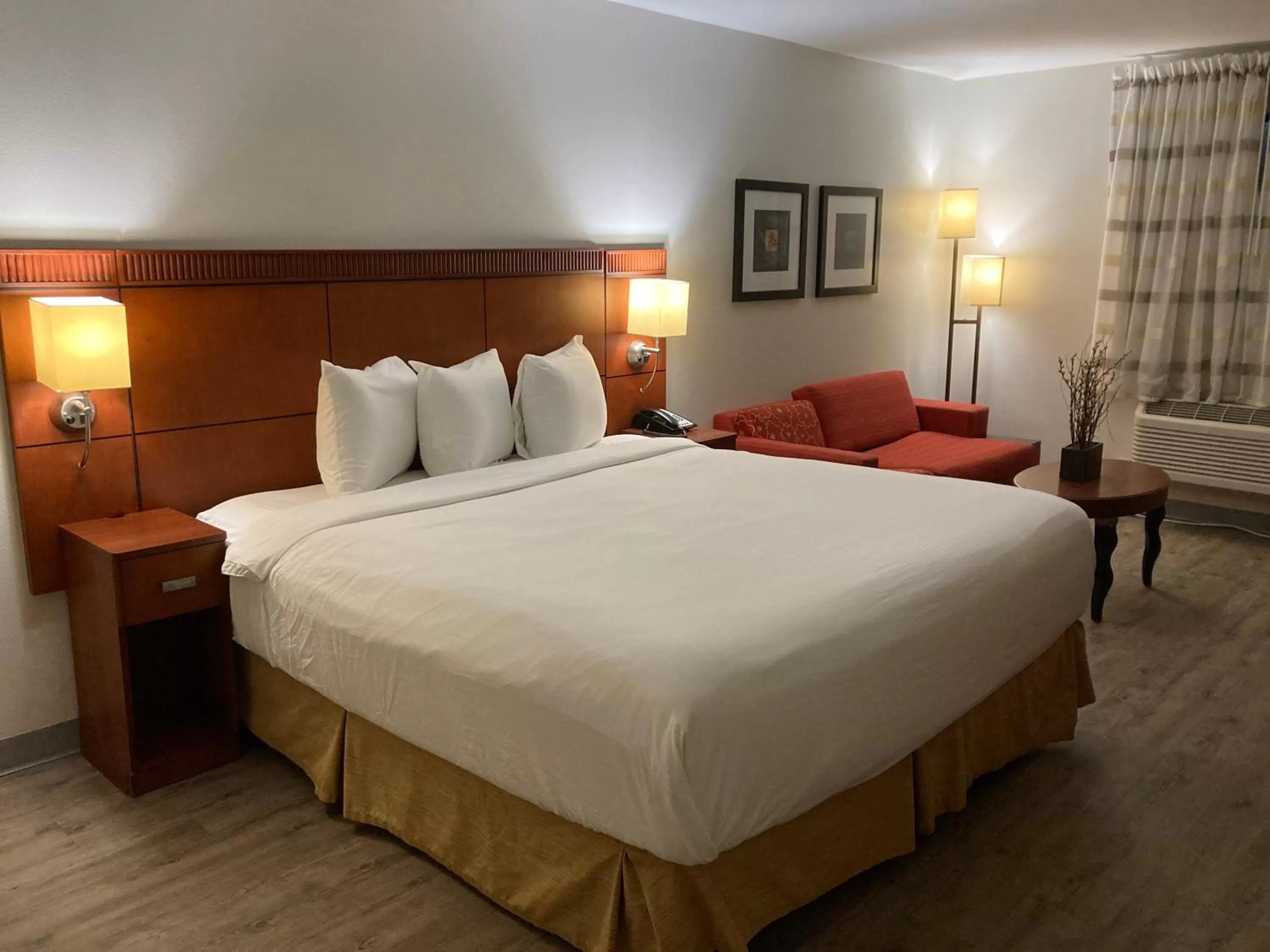 Superior Single Room in The Hotel Orange