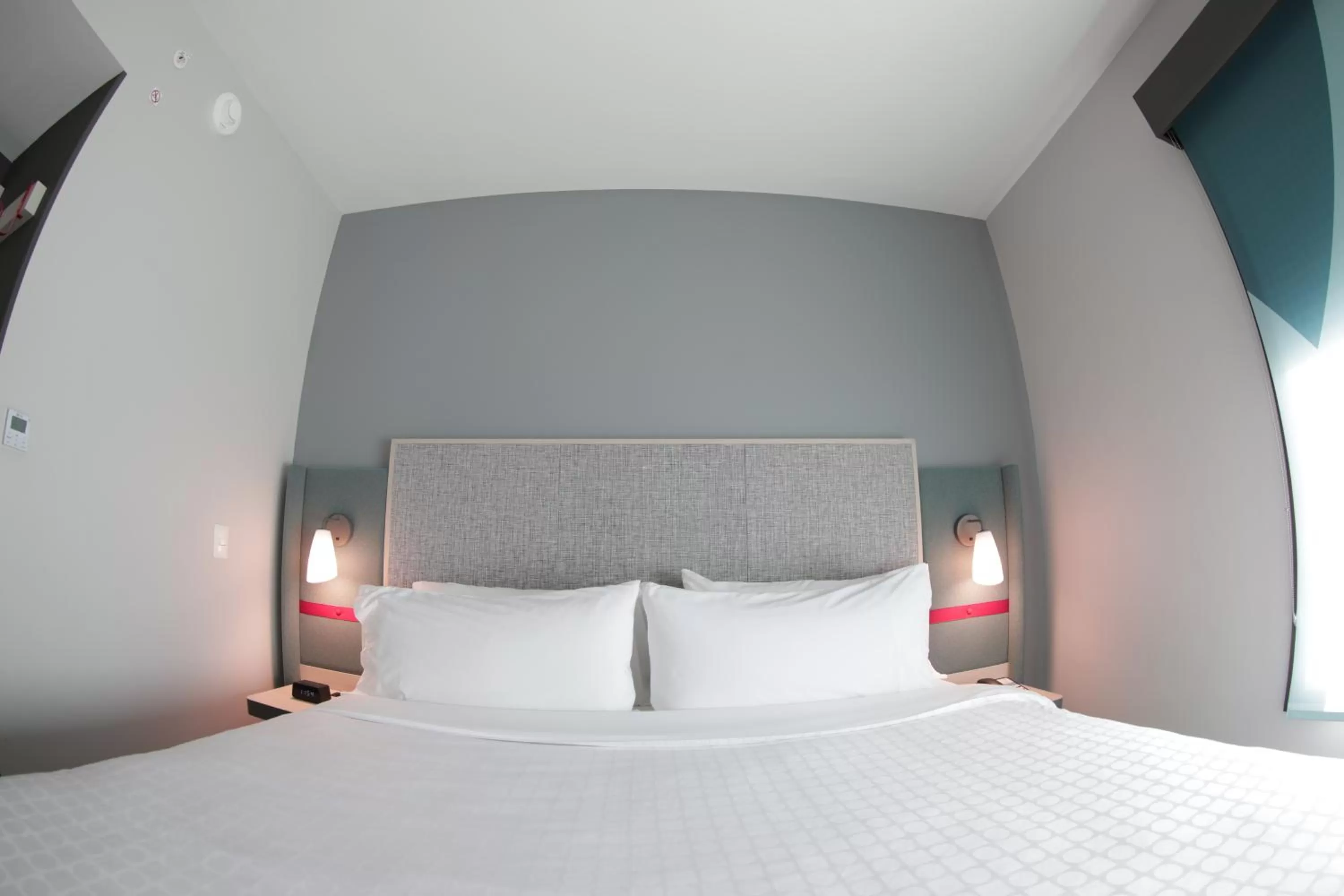 Standard King Room in avid hotel - Fresnillo by IHG