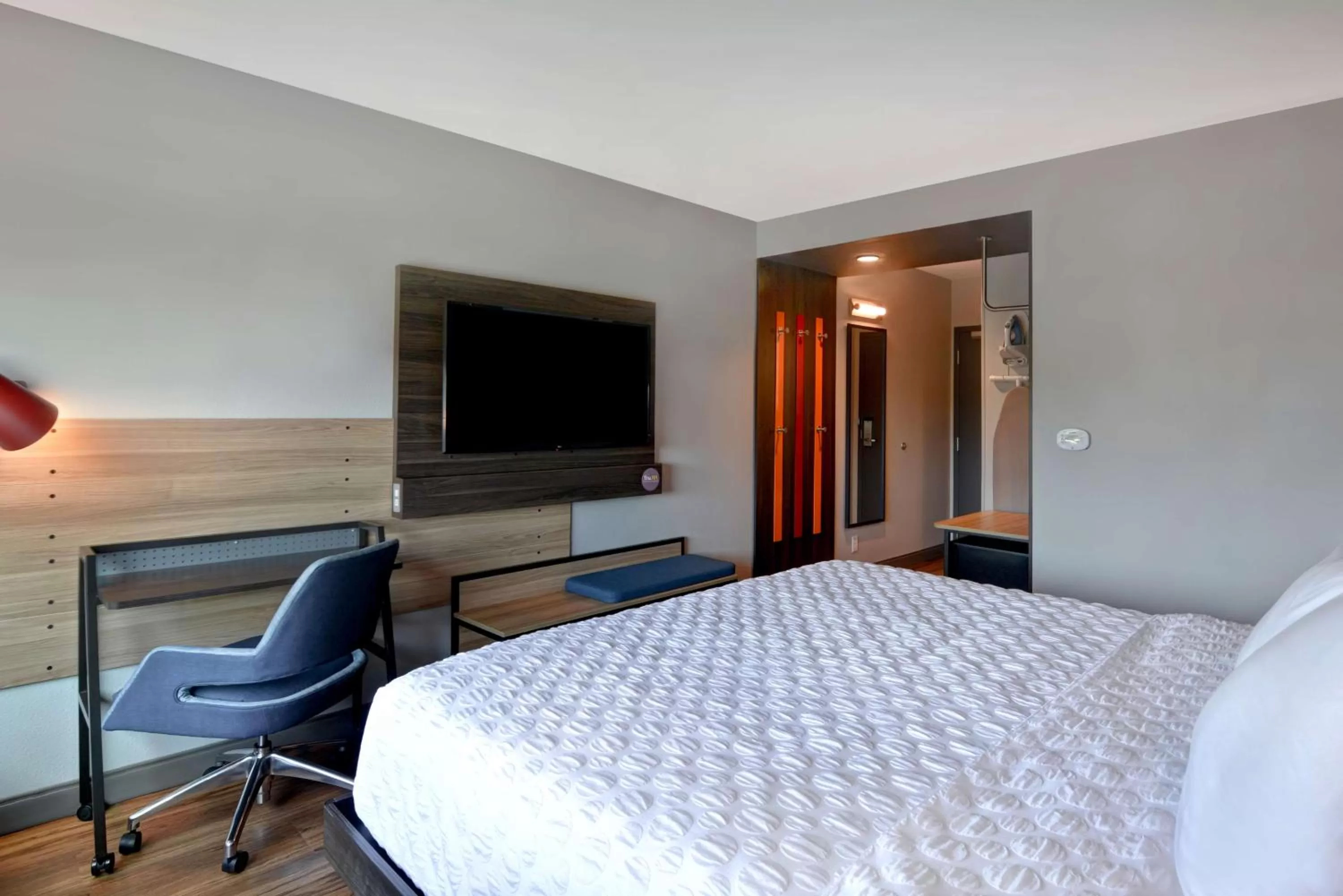 King Room in Tru By Hilton Fort Mill, Sc