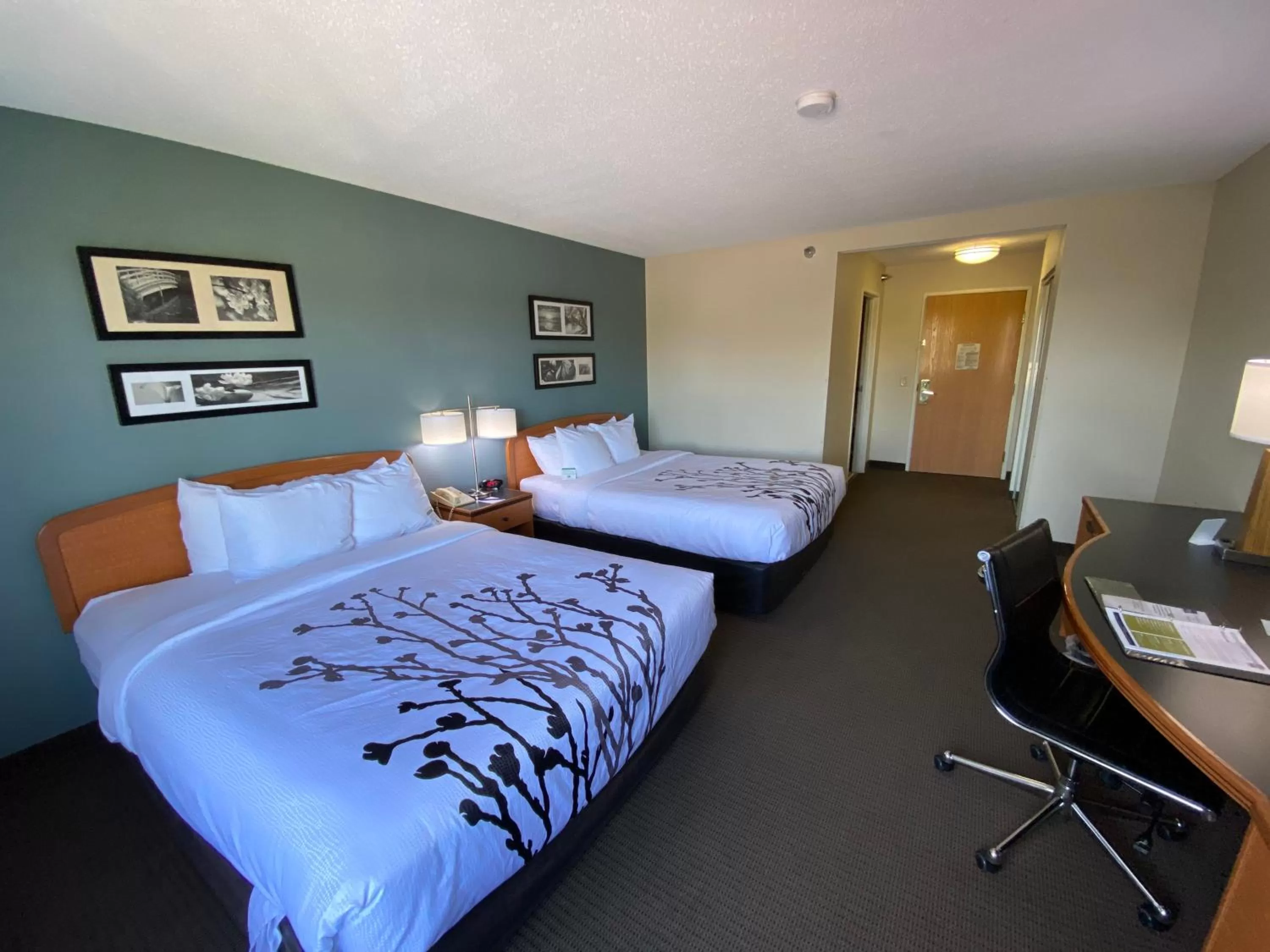 Queen Room with Two Queen Beds - Non-Smoking in Sleep Inn & Suites Davenport - Quad Cities