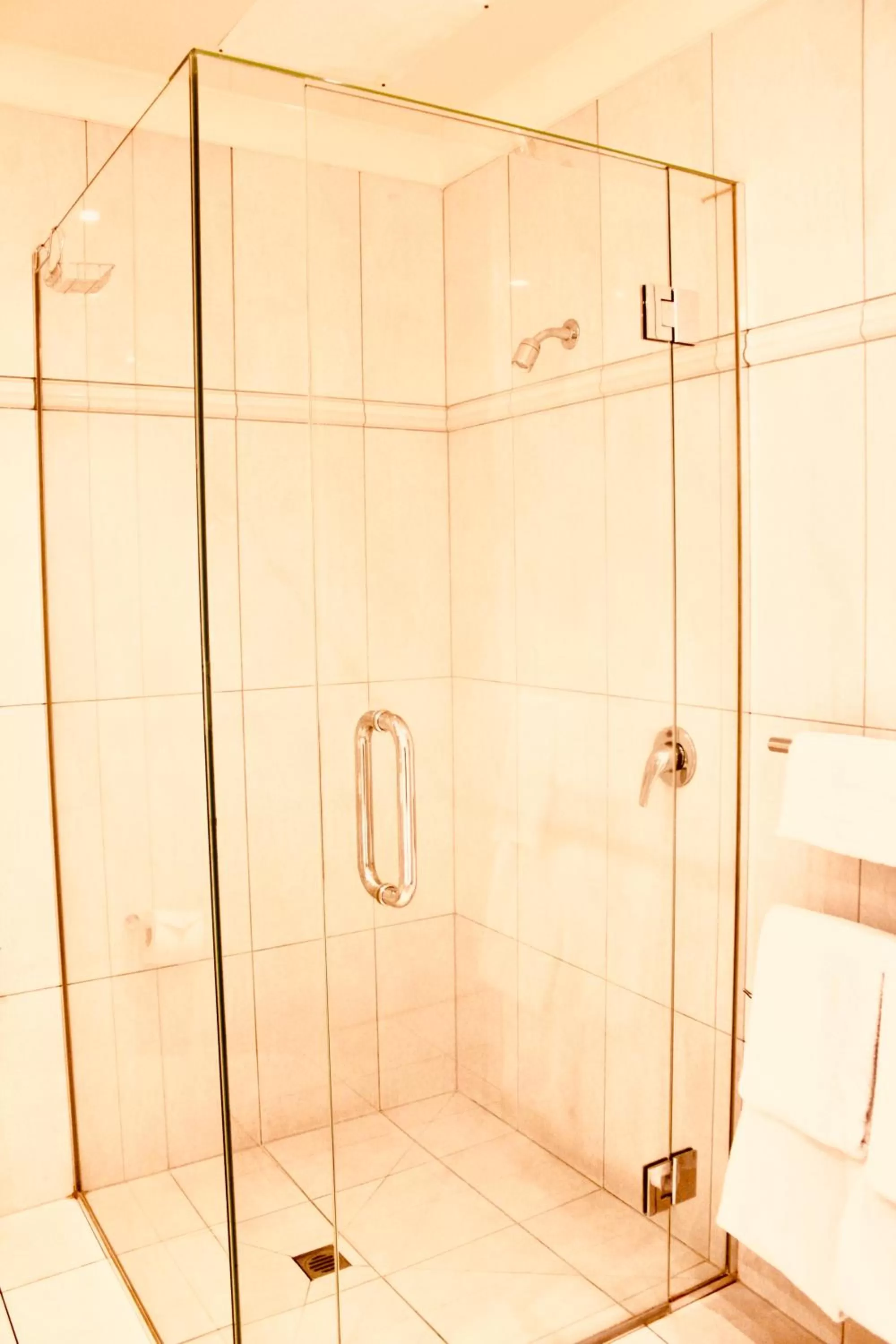 Ocean View Executive Suite with Spa Bath   in The Nautilus