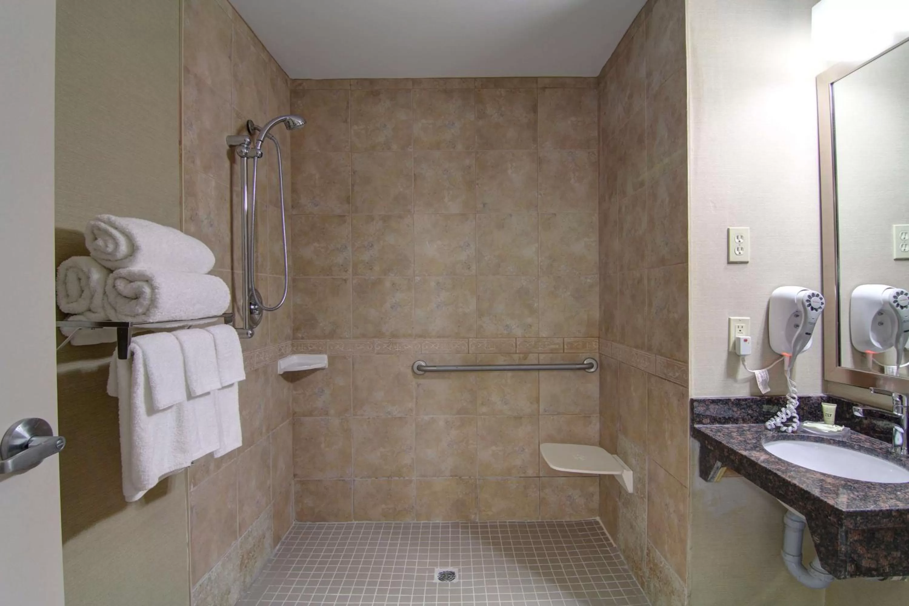 Queen Suite with Sofa Bed and Roll-In Shower - Disability Access/Non-Smoking in Best Western Plus Bowmanville