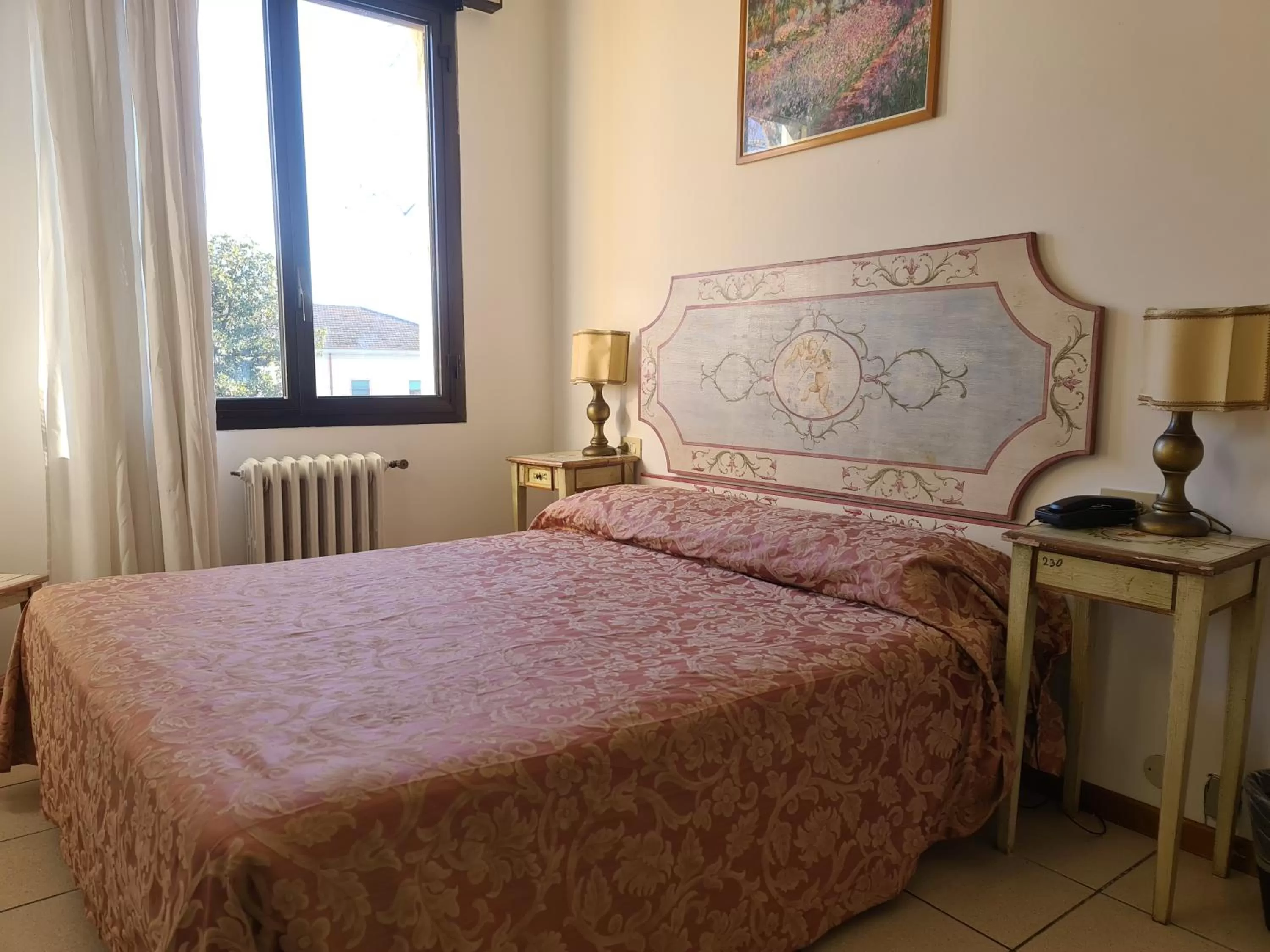 Single Room in Hotel Ariston