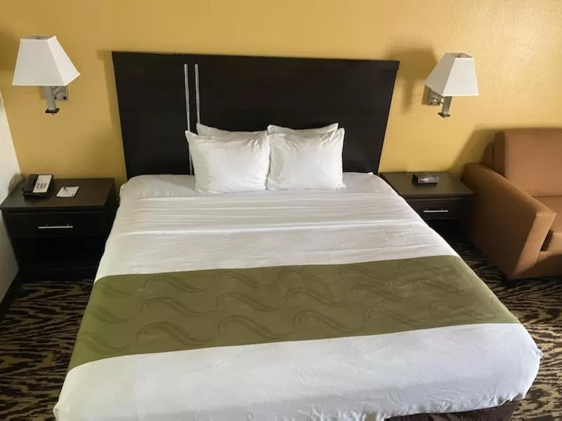 King Suite - Non Smoking in Quality Inn & Suites Clemmons I-40