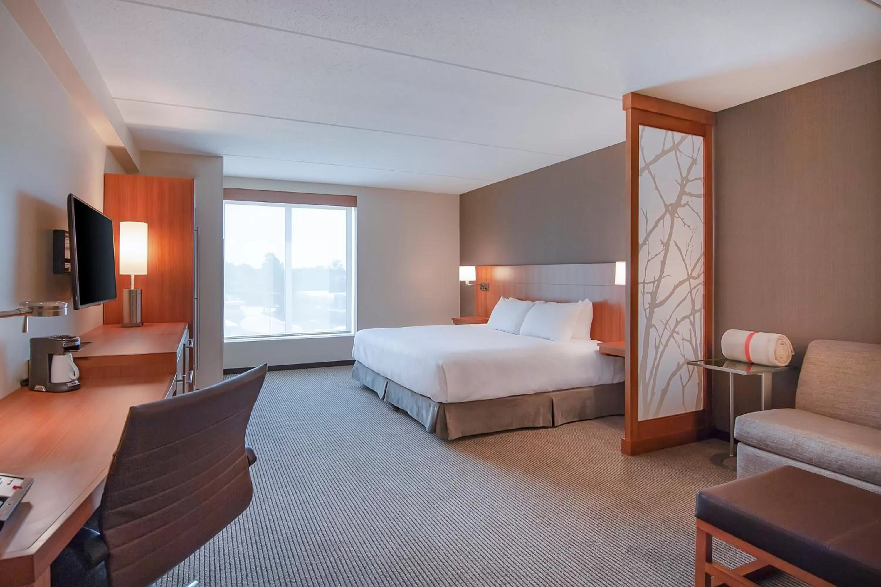 King Room with Sofa Bed in Hyatt Place Durham Southpoint