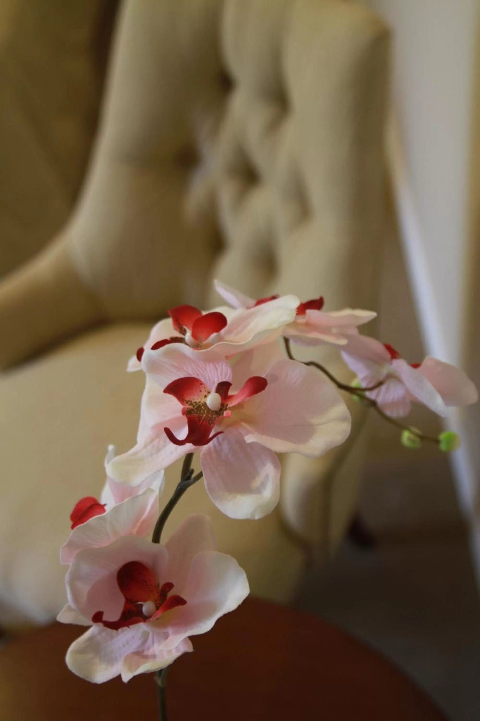 Executive Double or Twin Room in Hotel Intersur Recoleta