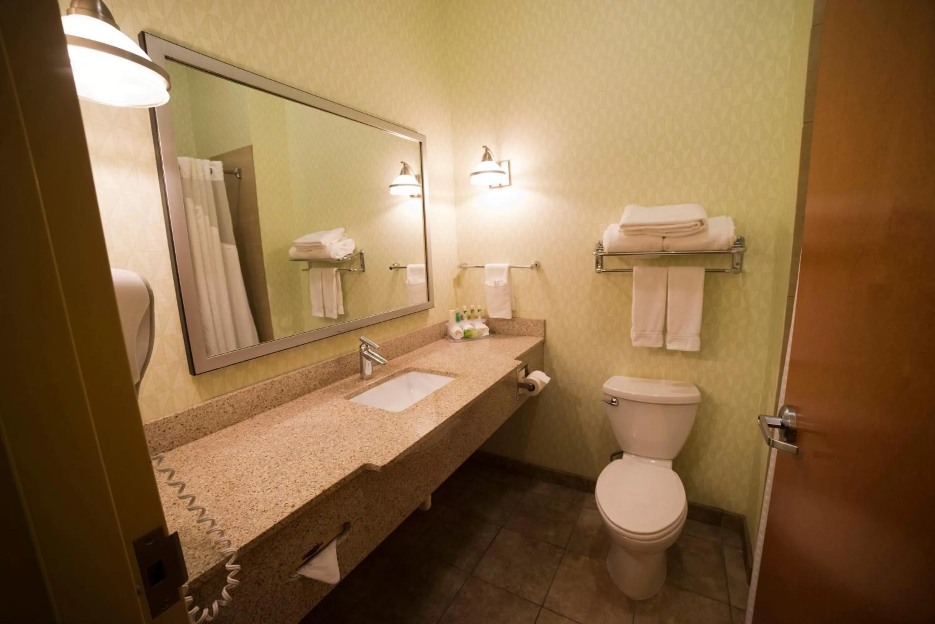 King Room - Mobility Access/Hearing Accessible in Holiday Inn Express Hotel & Suites Atlanta East - Lithonia by IHG