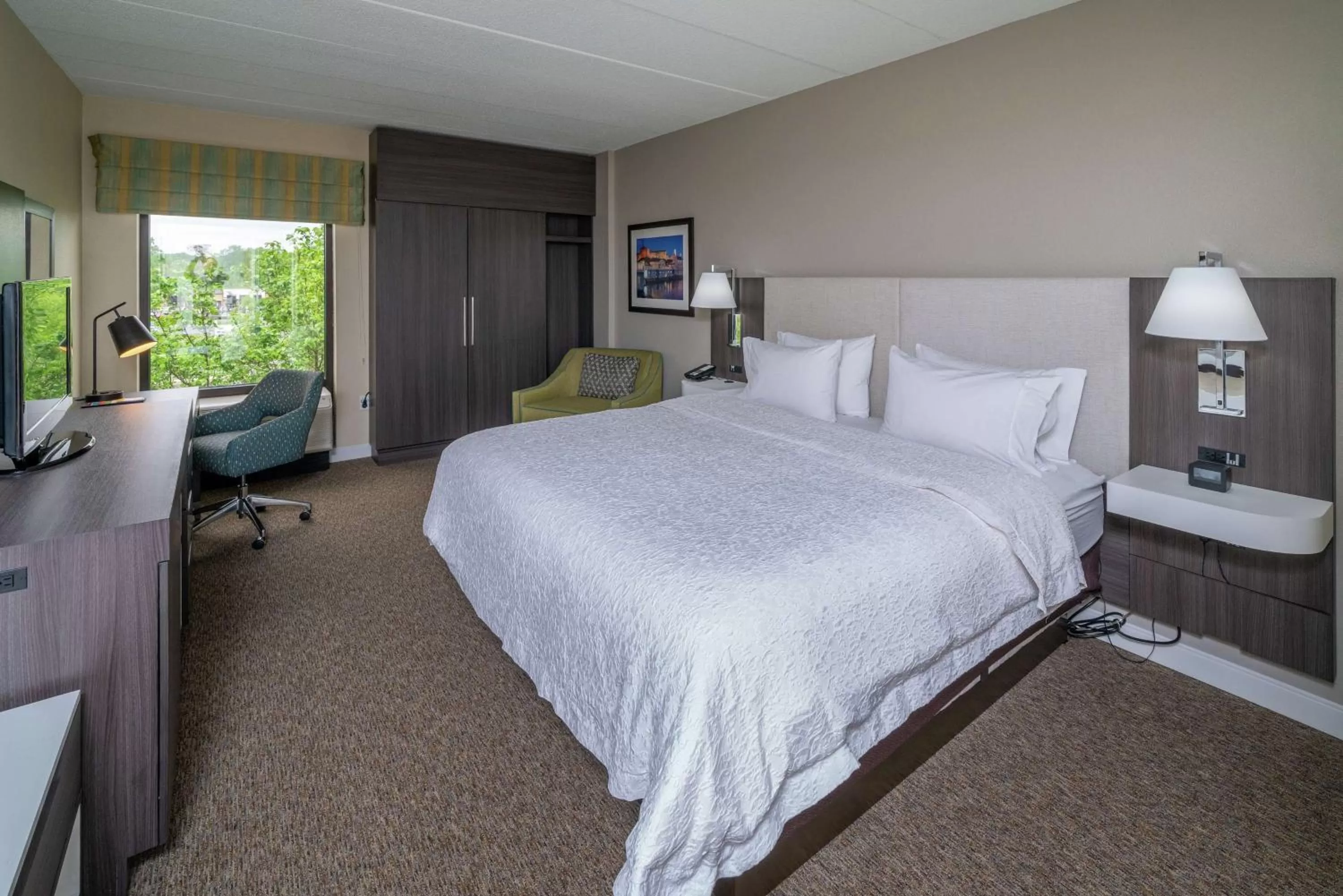 King Room with Roll-In Shower - Disability Access in Hampton Inn & Suites Valley Forge/Oaks