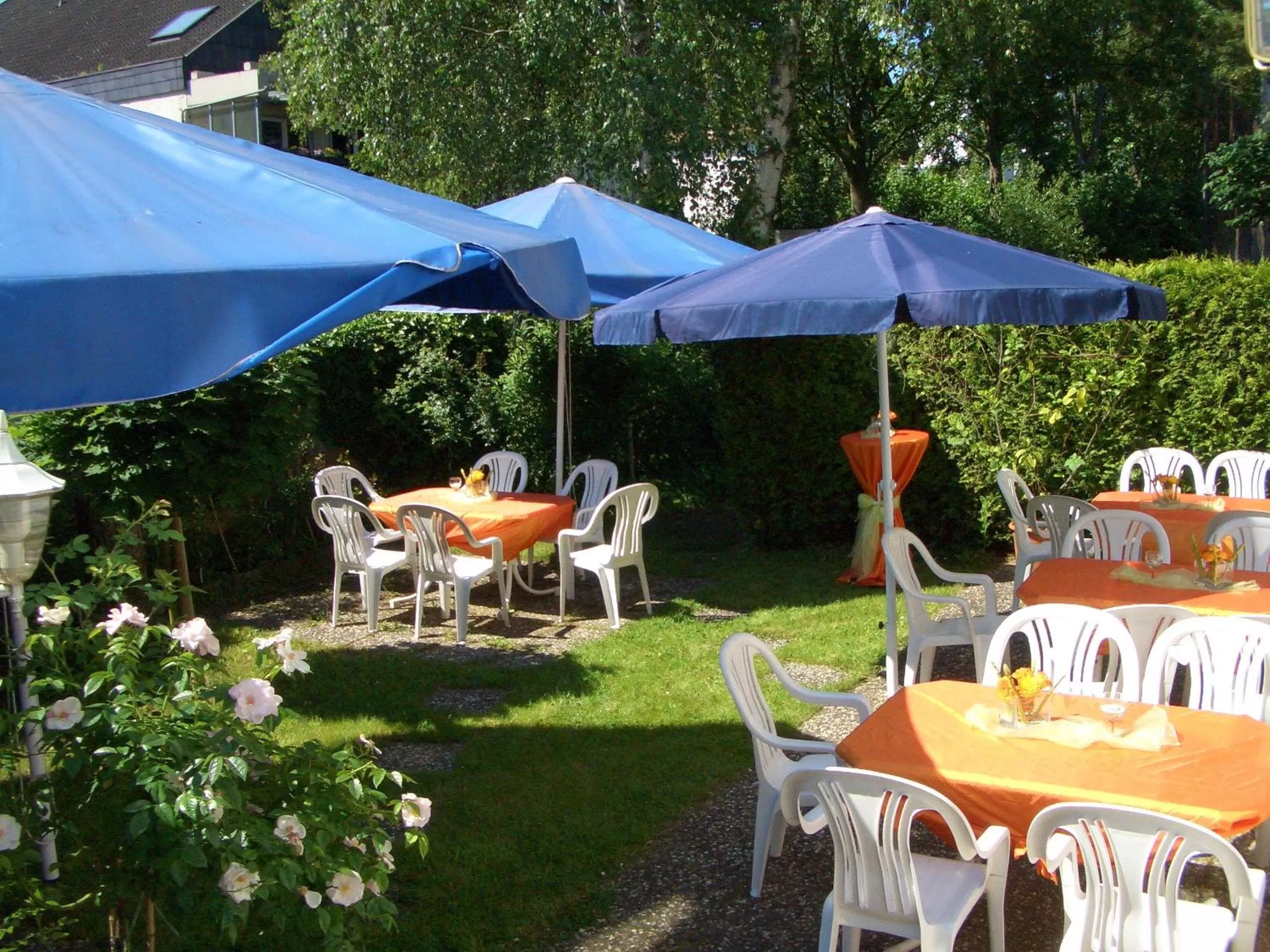 Restaurant/places to eat in Hotel Roemerstein