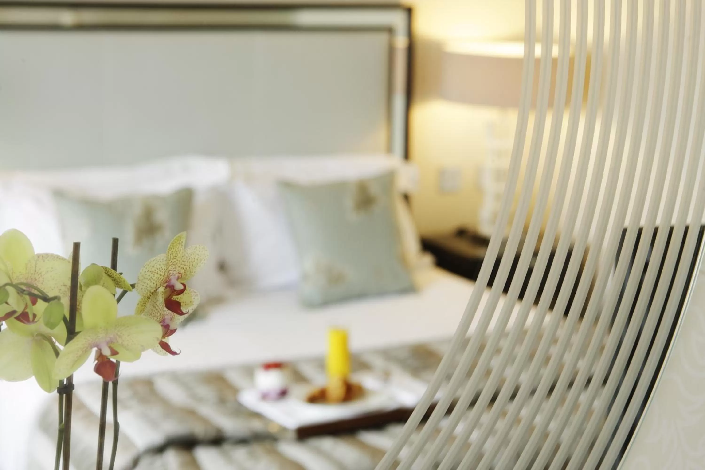 Cozy Double Room in The Bristol Hotel