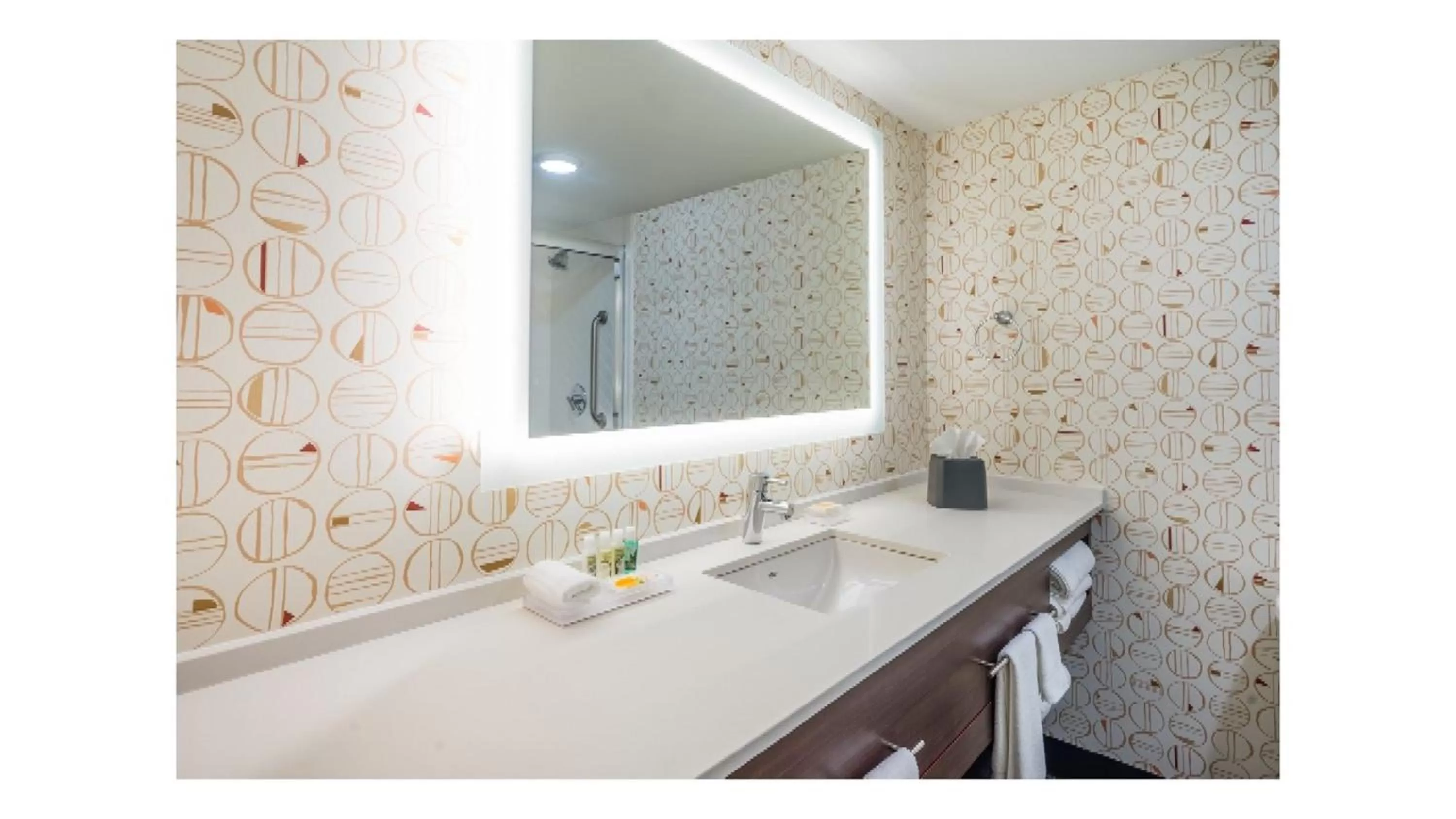 Premium King Room in Holiday Inn Roanoke Airport - Conference CTR by IHG