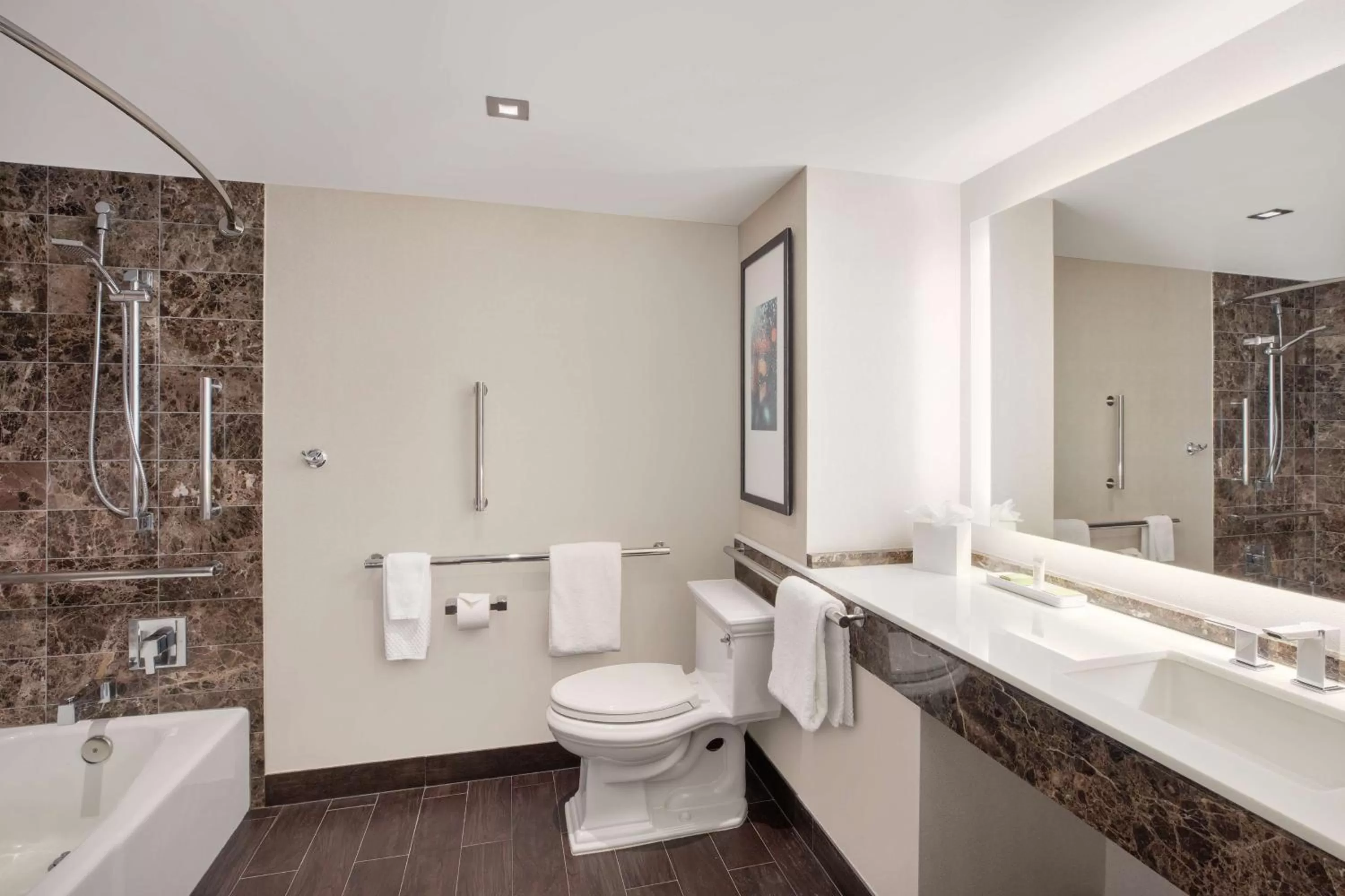 Premium Room with Two Double Beds and Bath Tub in Hilton McLean Tysons Corner