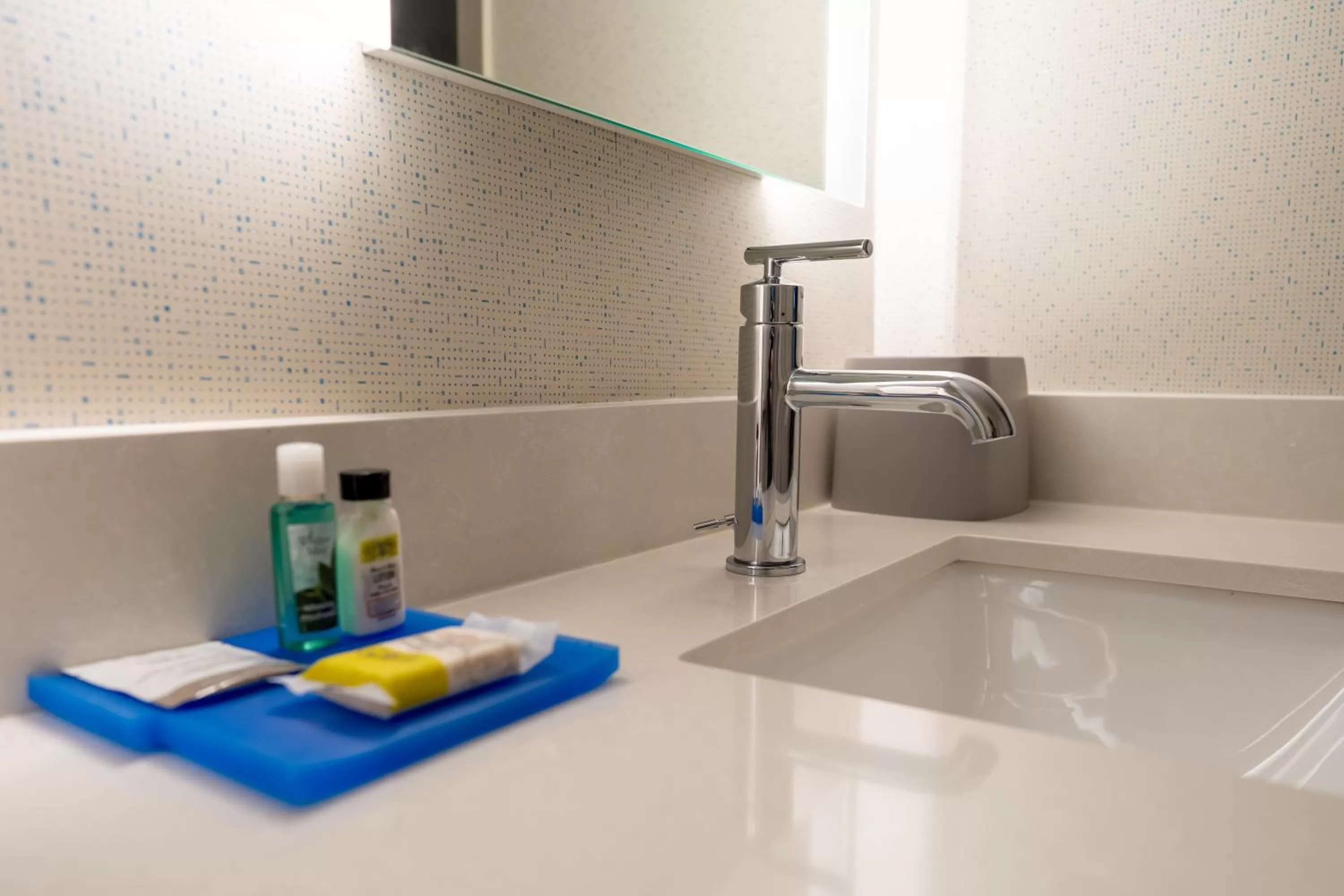 Standard King Room with Roll-In Shower - Mobility Access in Holiday Inn Express Boston by IHG