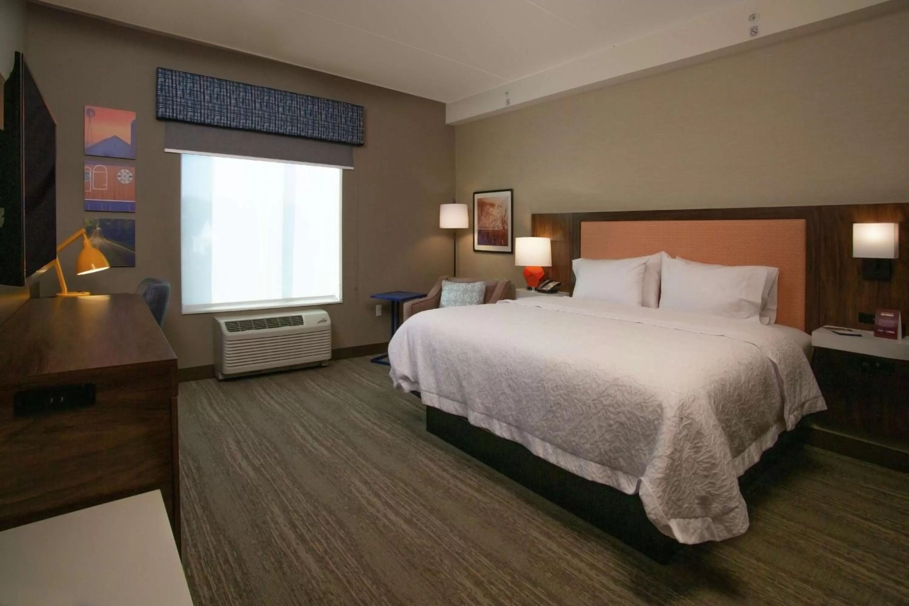 King Room with Roll-In Shower - Mobility Access/Non-Smoking in Hampton Inn & Suites Kutztown, Pa