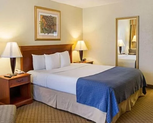 Standard King Room in GreenTree Hotel & Extended Stay I-10 FWY Houston, Channelview, Baytown