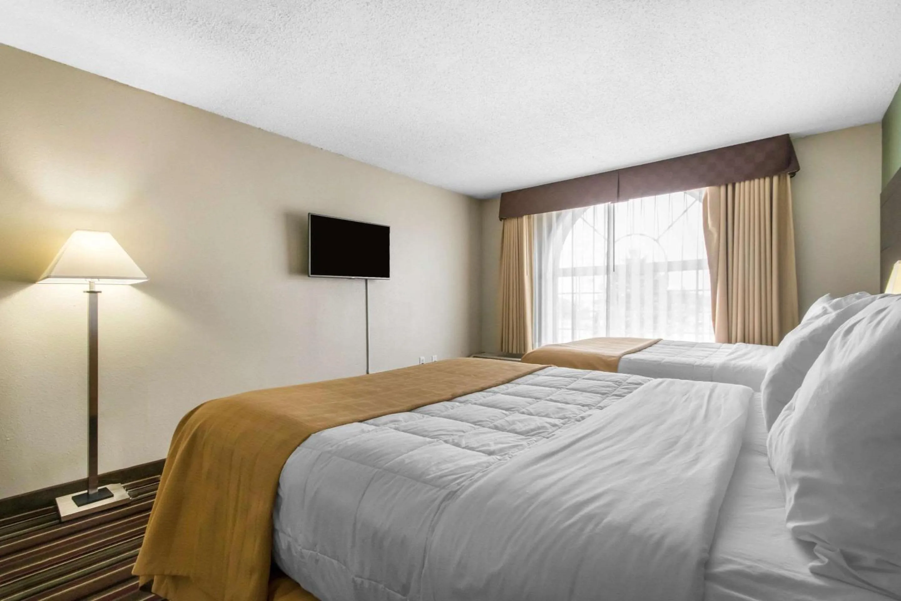 Queen Room with Two Queen Beds - Smoking in Quality Inn & Suites Horse Cave - Cave City