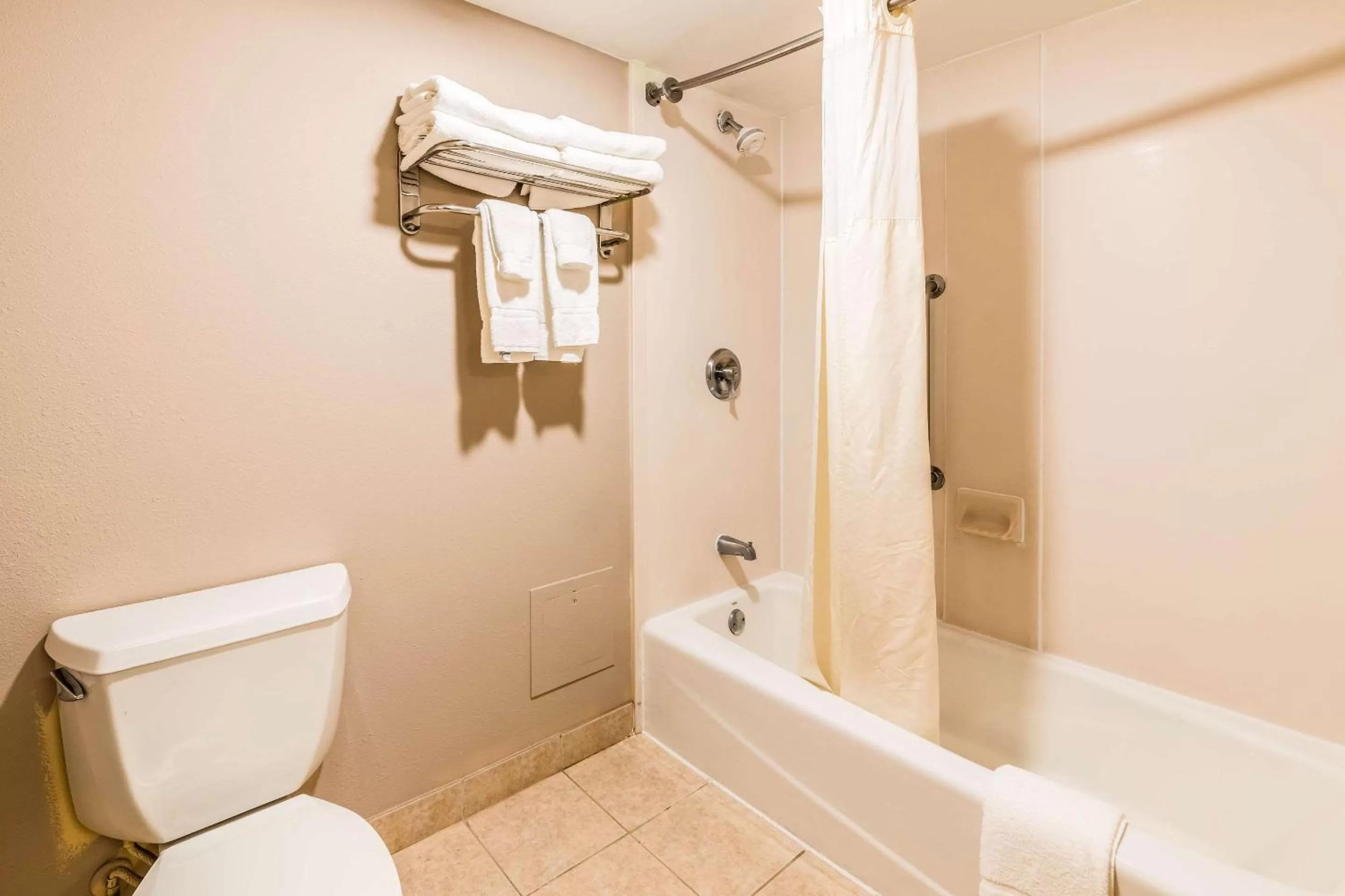 King Room - Non-Smoking in Lake Norman Inn and Suites