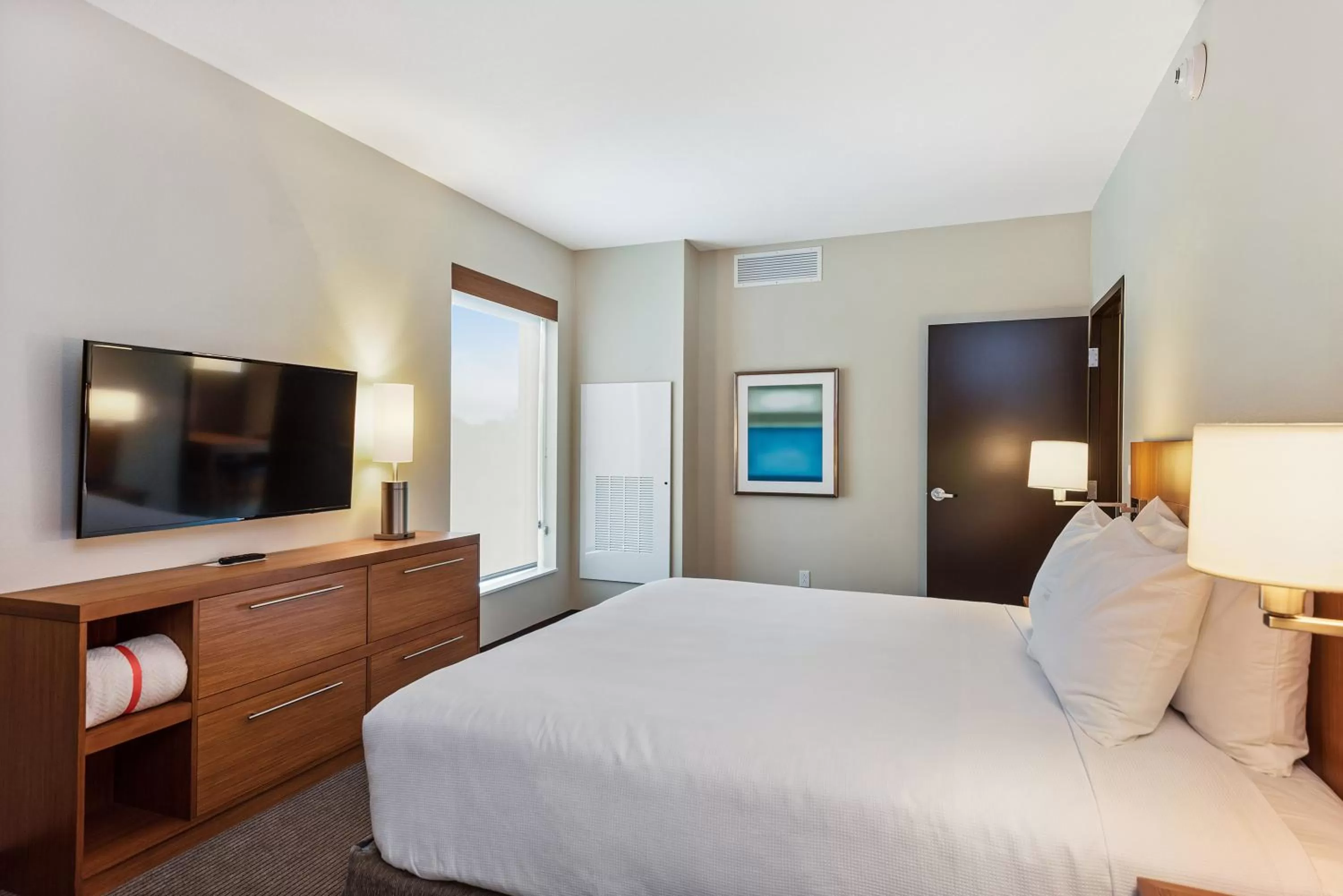 King Suite with Sofa Bed and Tub - Disability Access in Hyatt Place Tampa/Wesley Chapel