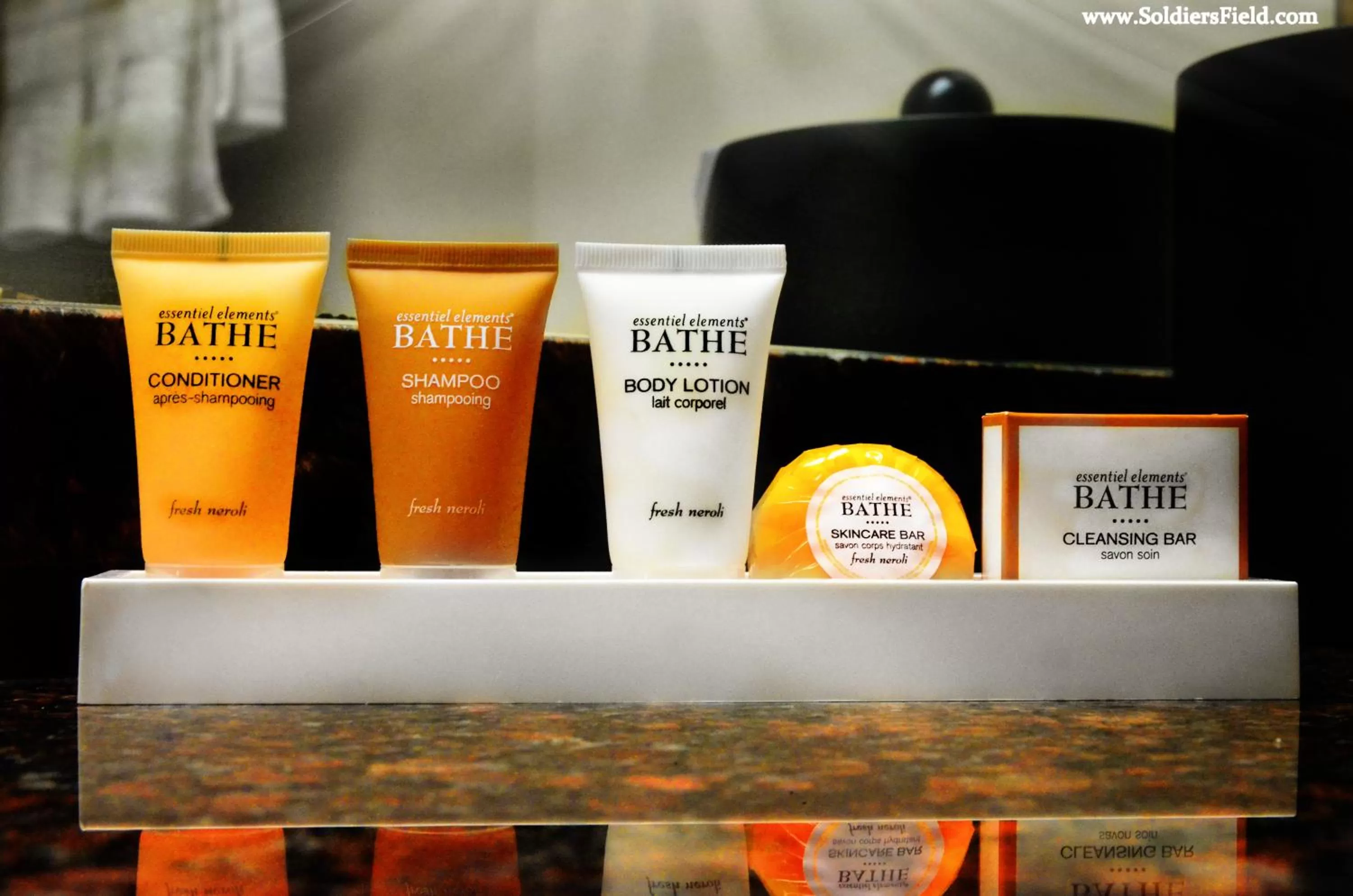 Queen Room - Disability Access in Centerstone Plaza Hotel Soldiers Field - Mayo Clinic Area