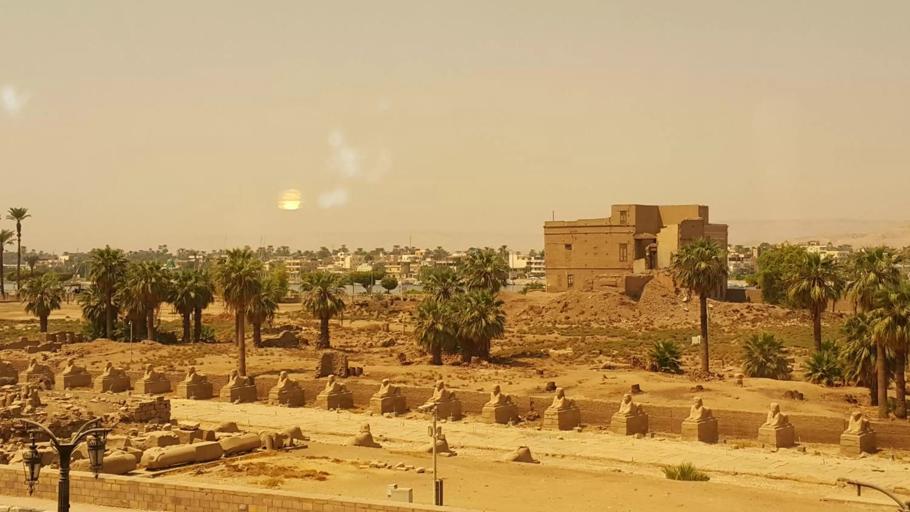 Standard Double or Twin Room with Temple View - single occupancy in Susanna Hotel Luxor