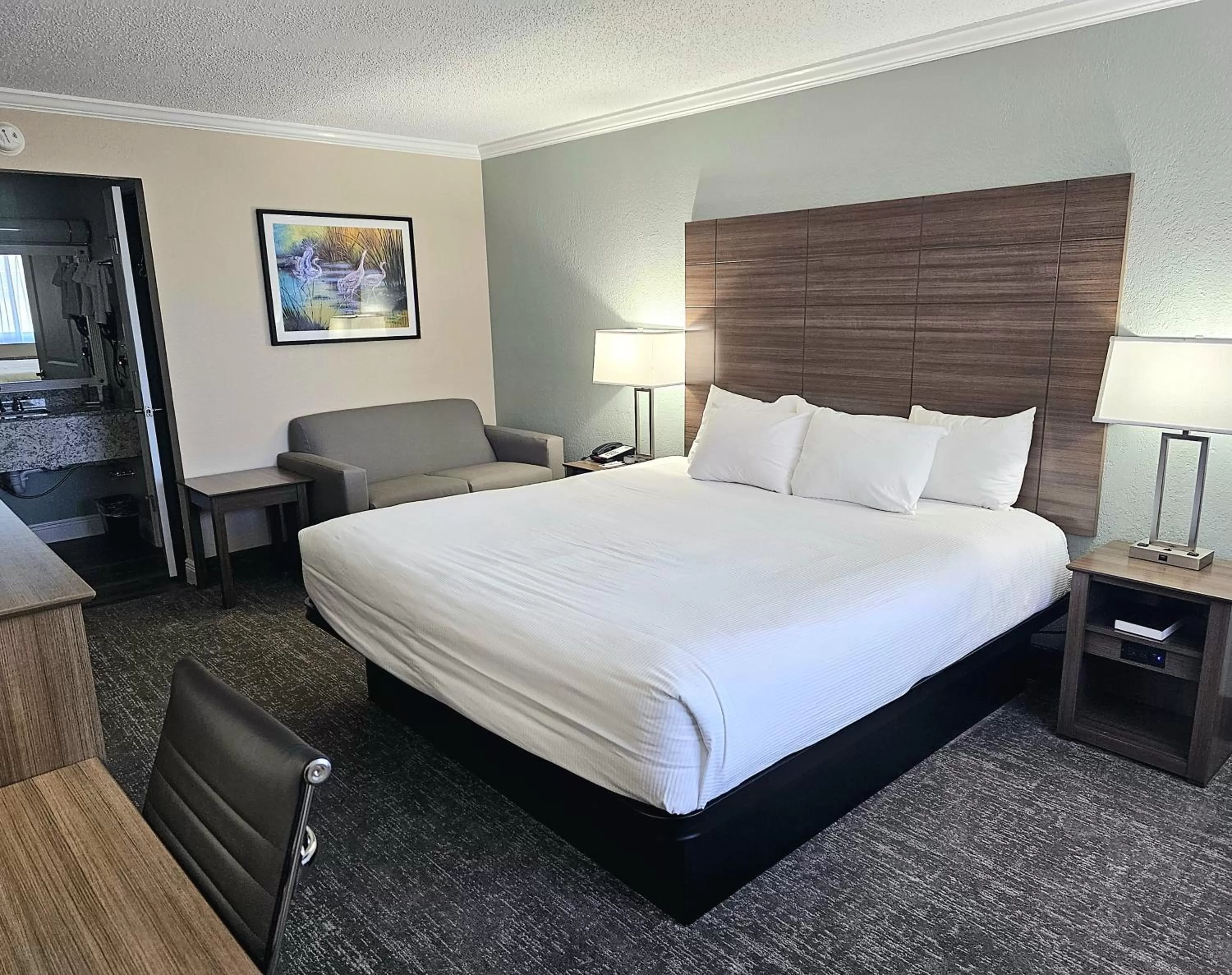 King Room - Disability Access in Roadstar Hotel Zephyrhills