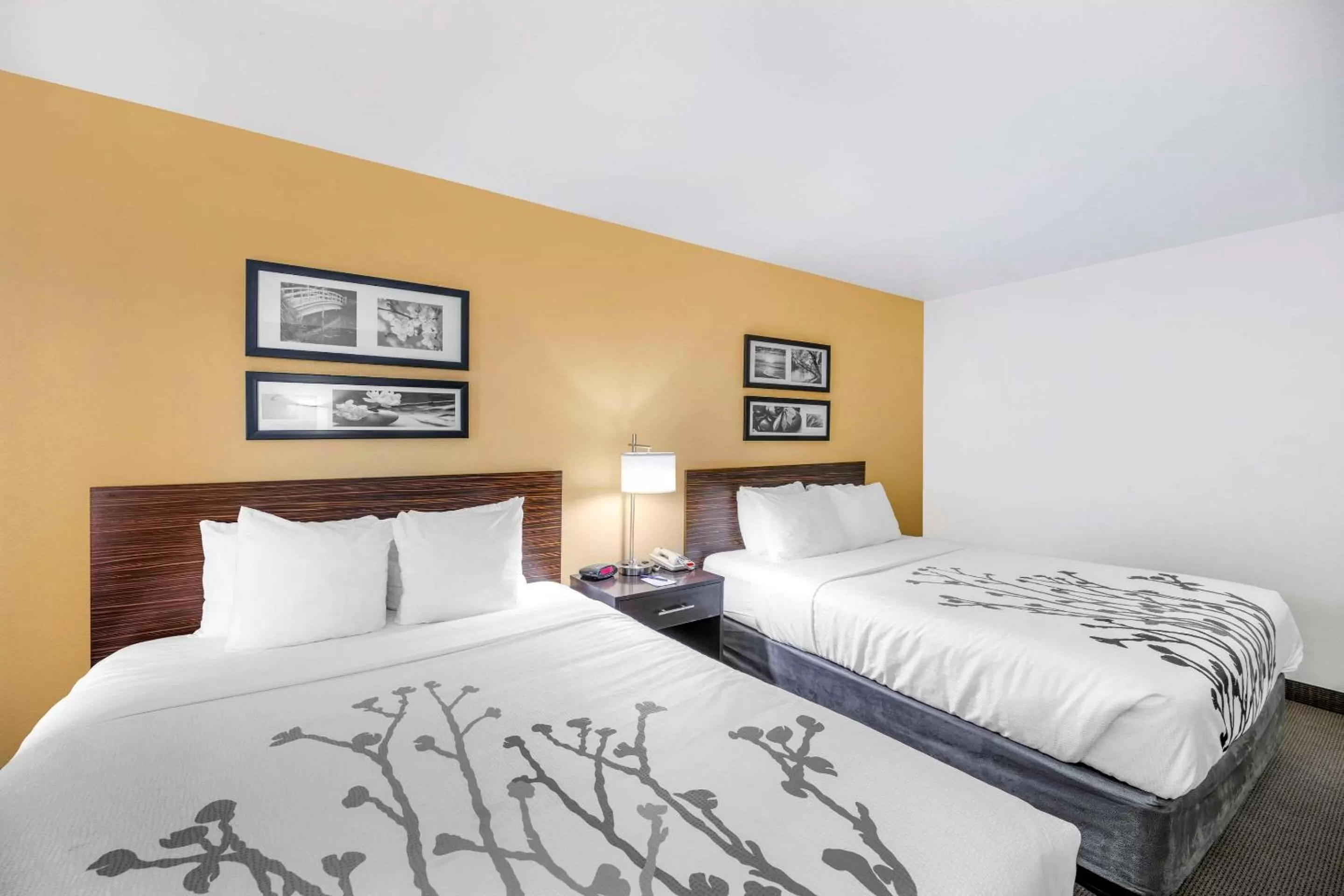 Standard Queen Room with Two Queen Beds - Non-Smoking in Sleep Inn & Suites Carlsbad Caverns Area