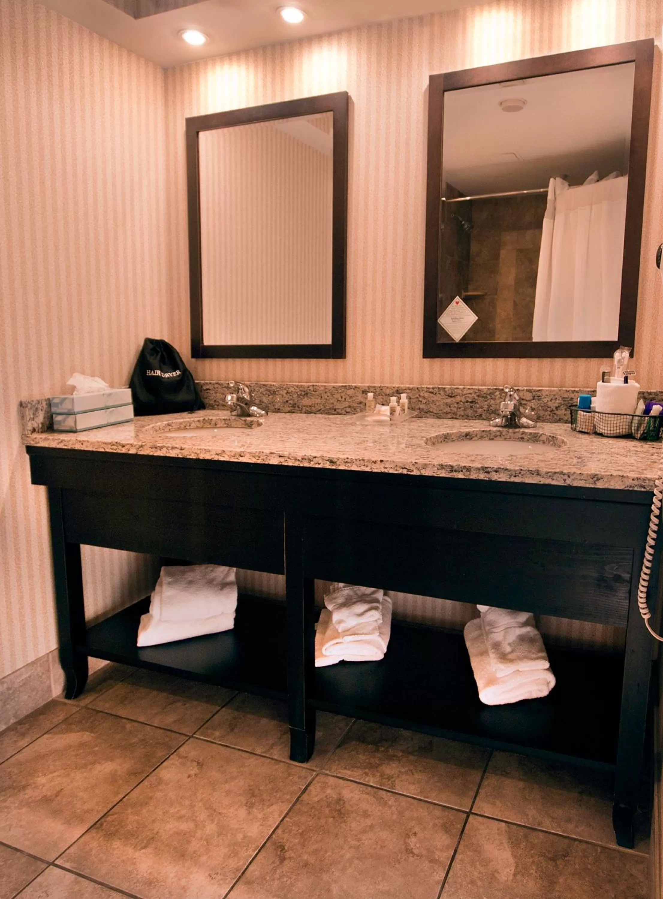 Junior Suite in Buffalo Airport Hotel