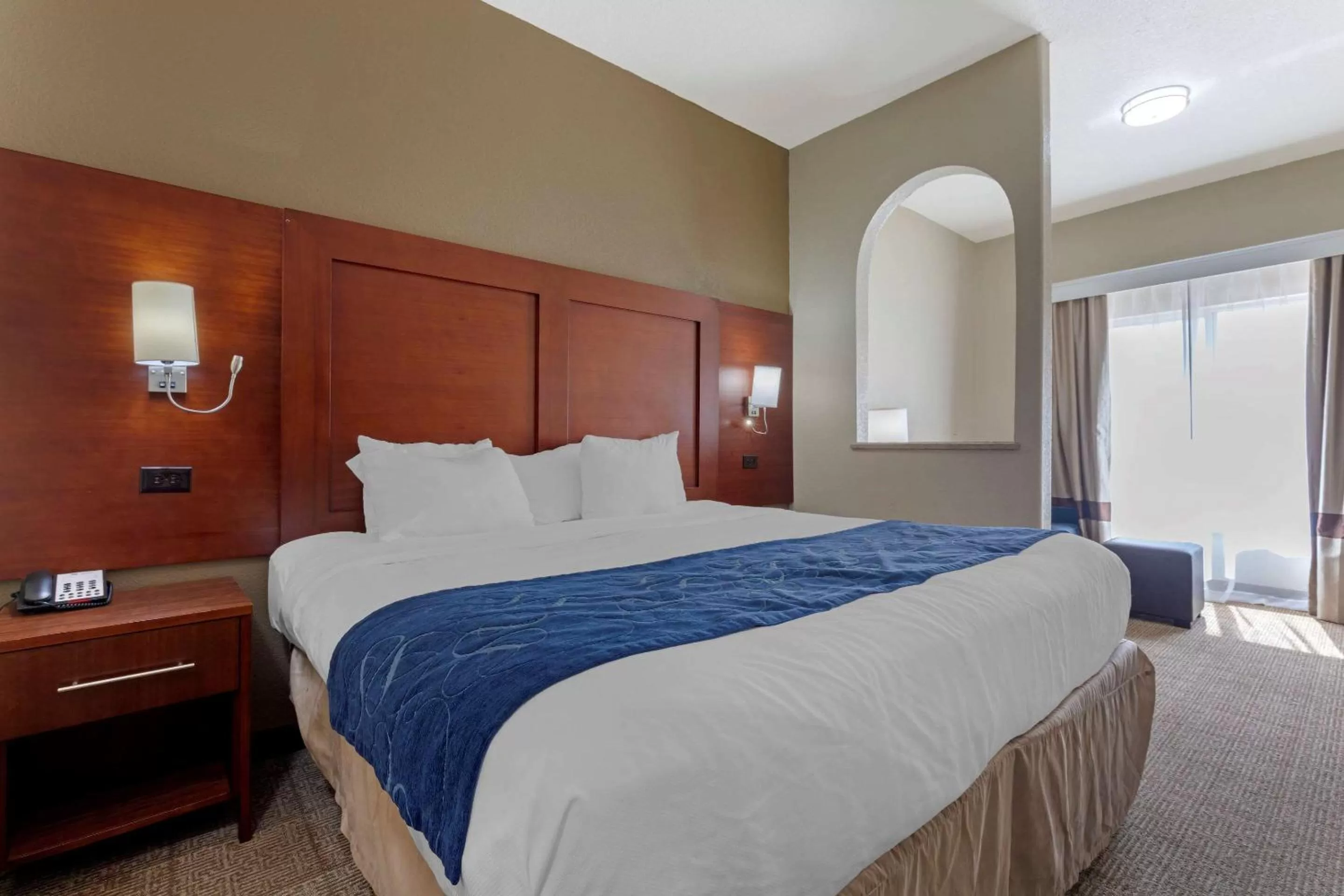King Suite - Accessible/Non-Smoking in Comfort Suites Gainesville