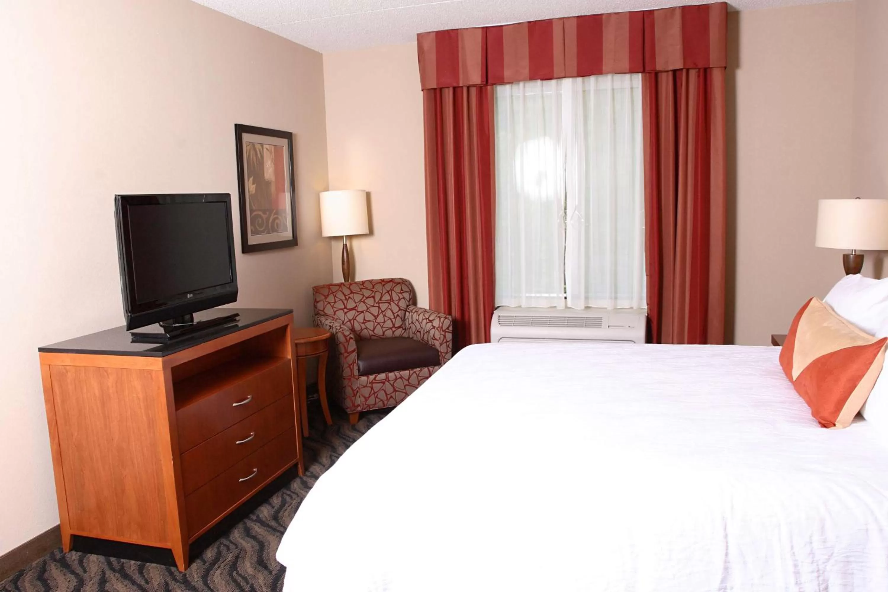 King Deluxe Suite - Hearing/Mobile Access in Hilton Garden Inn Chesapeake/Suffolk