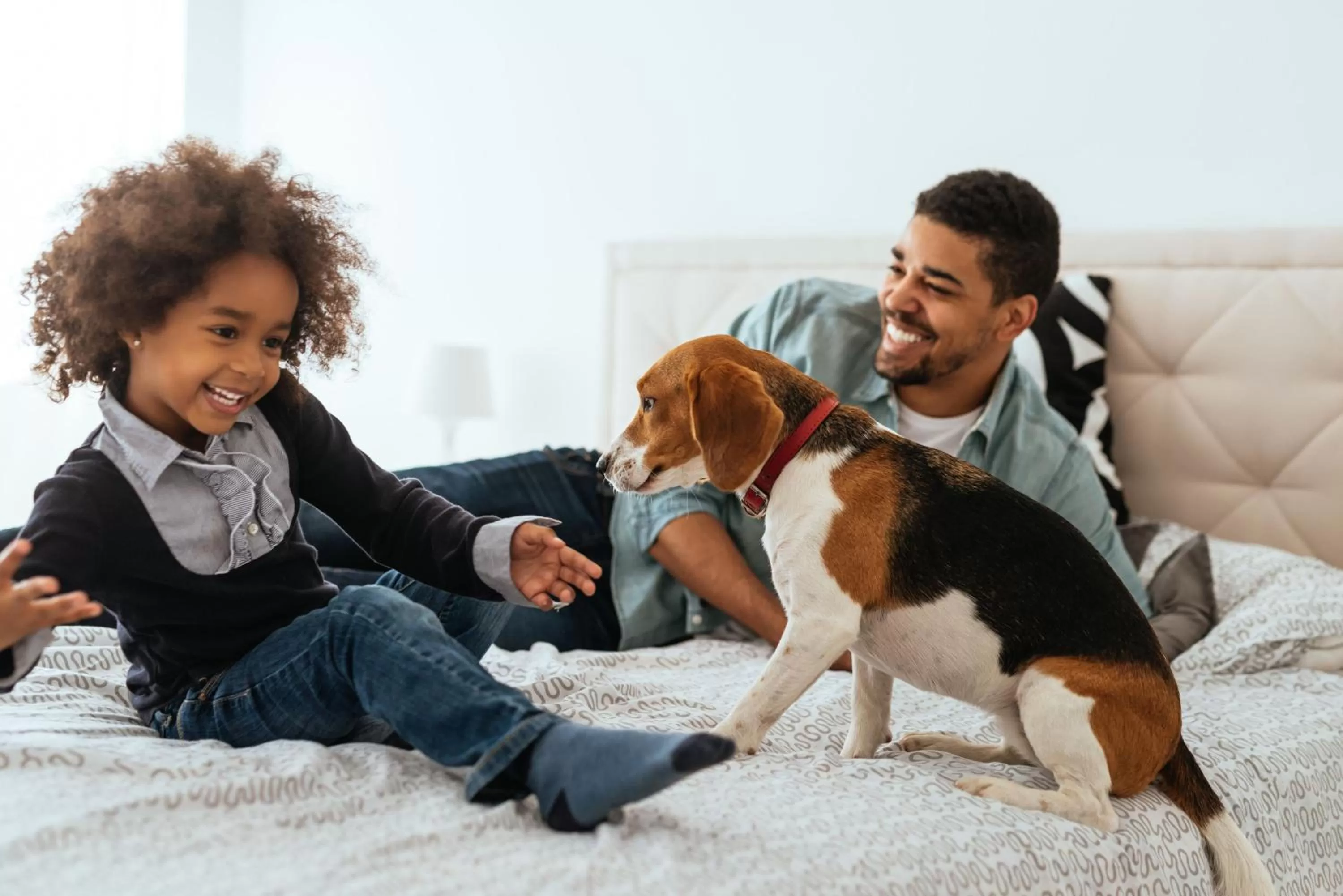 Pets in Citadines Kléber Strasbourg