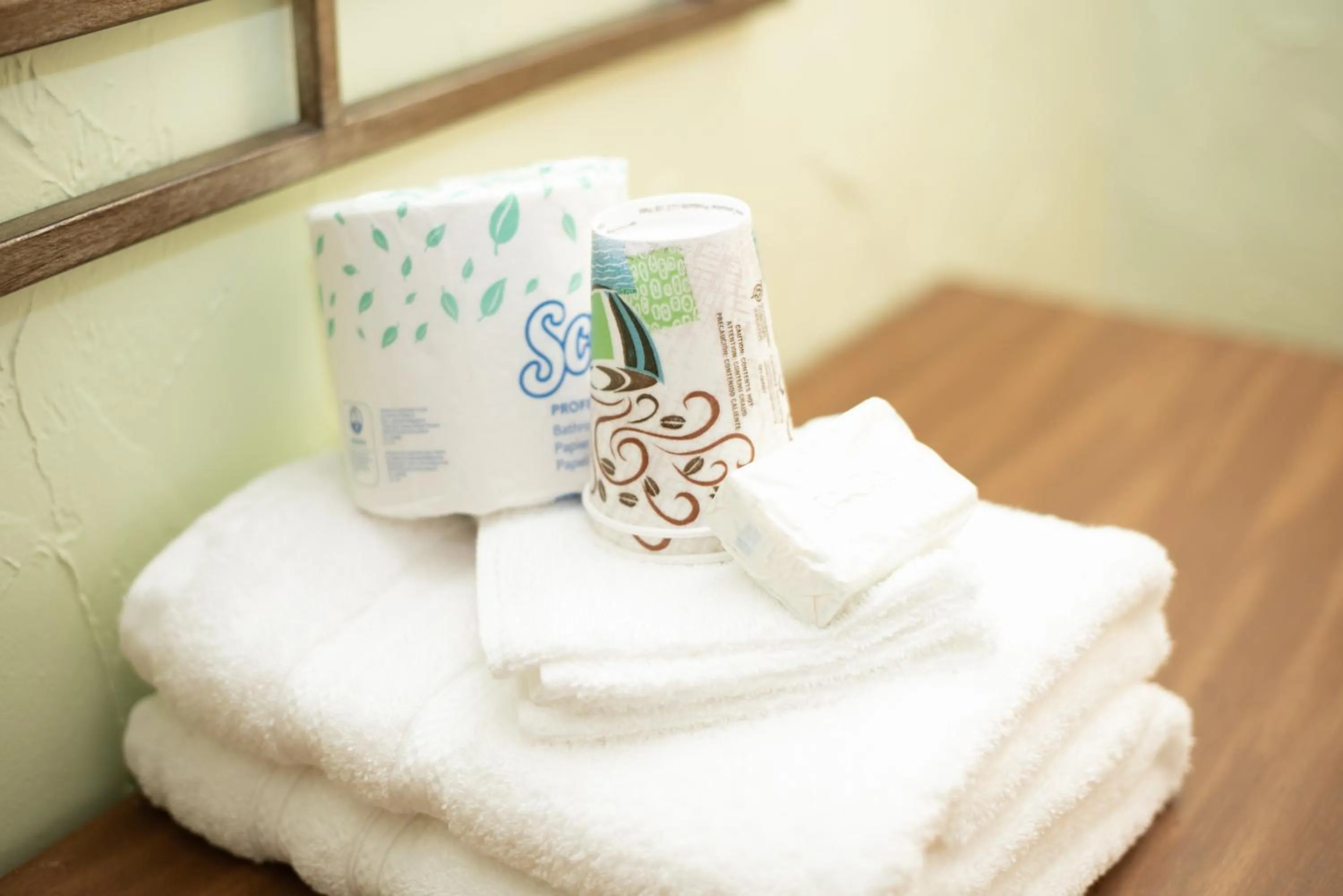 Single Room with Shared Bathroom in Hotel Evernia