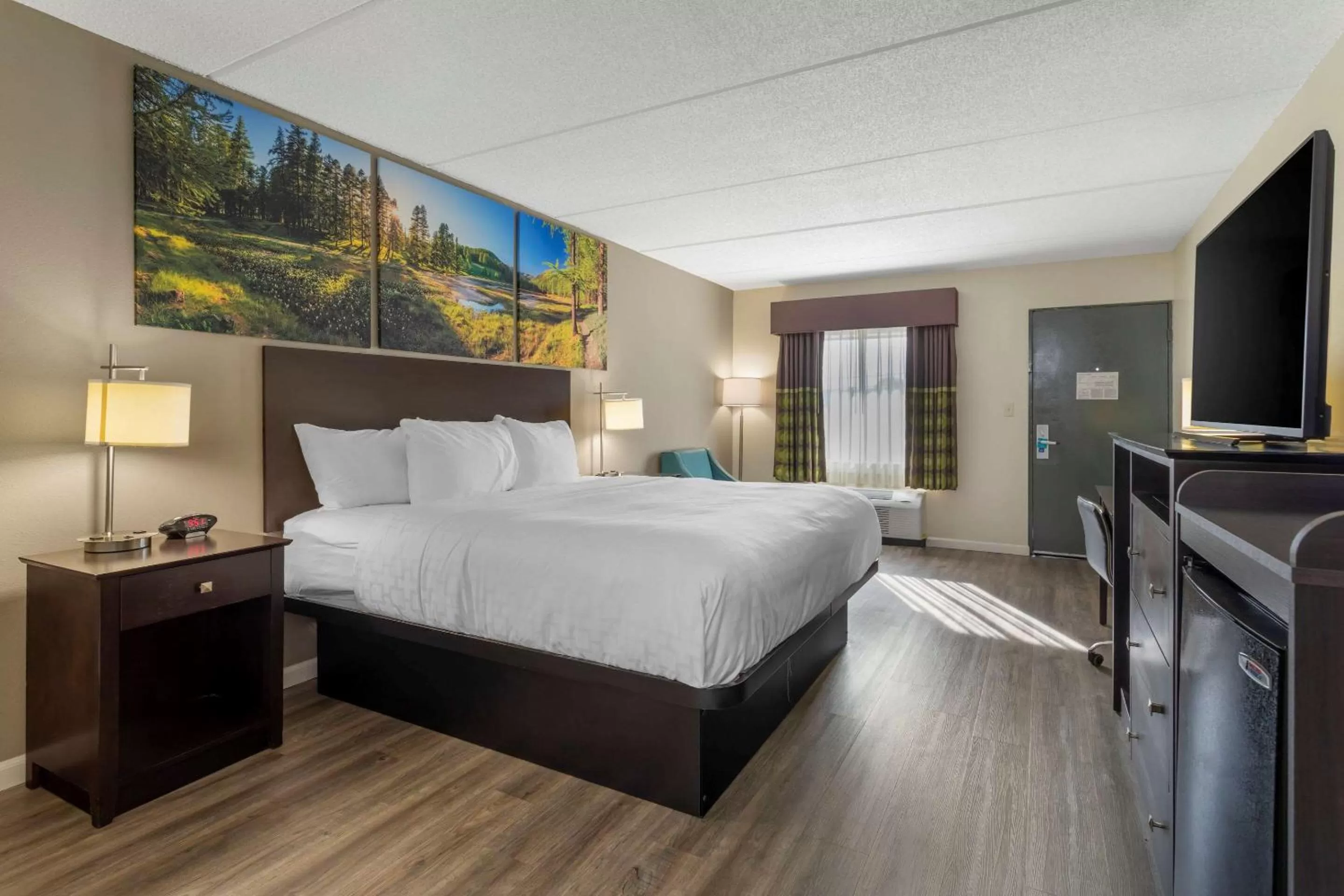 Standard King Room - Non Smoking in Clarion Pointe Kimball By Choice Hotels