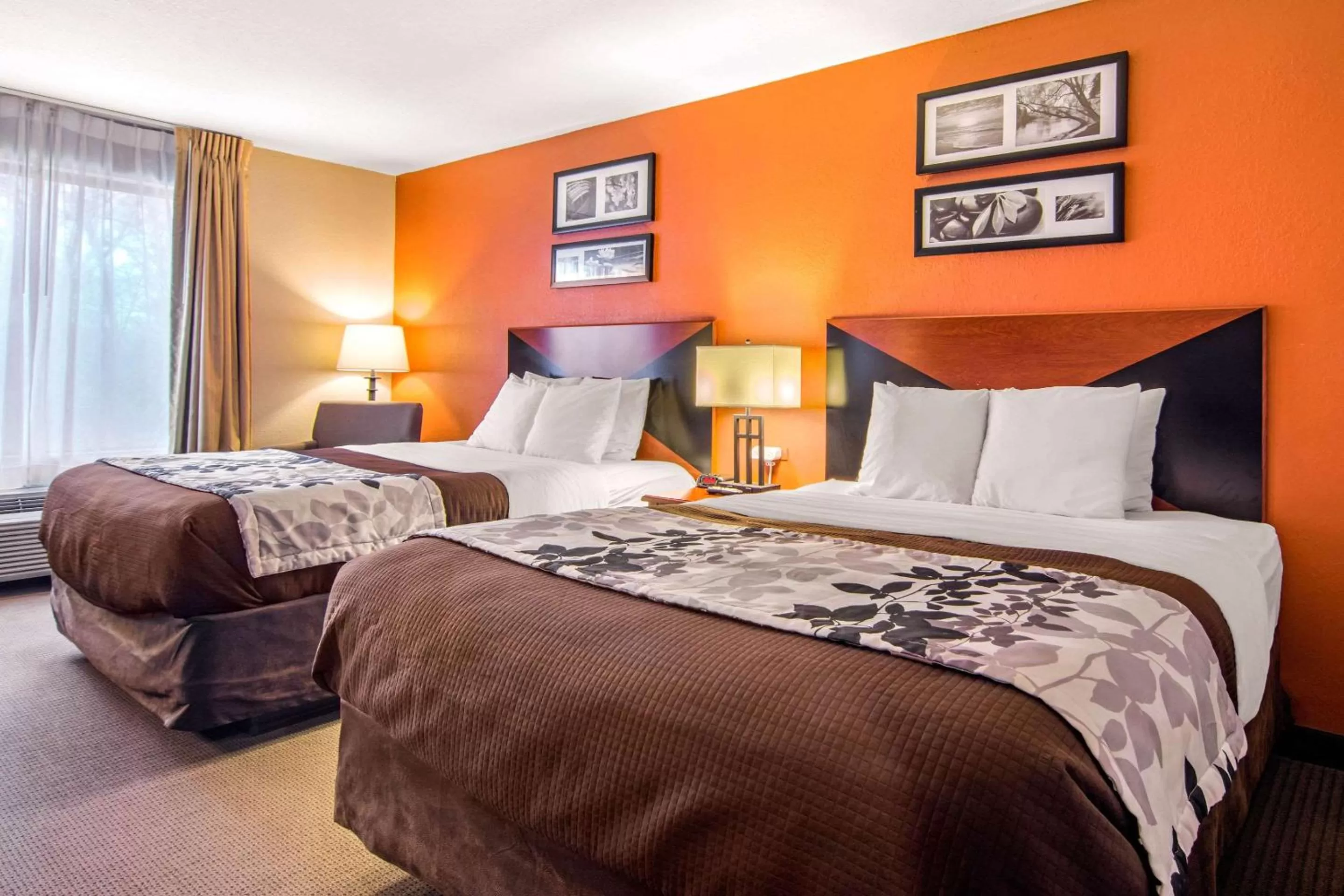 Queen Room with Two Queen Beds - Non-Smoking in Sleep Inn & Suites Athens South