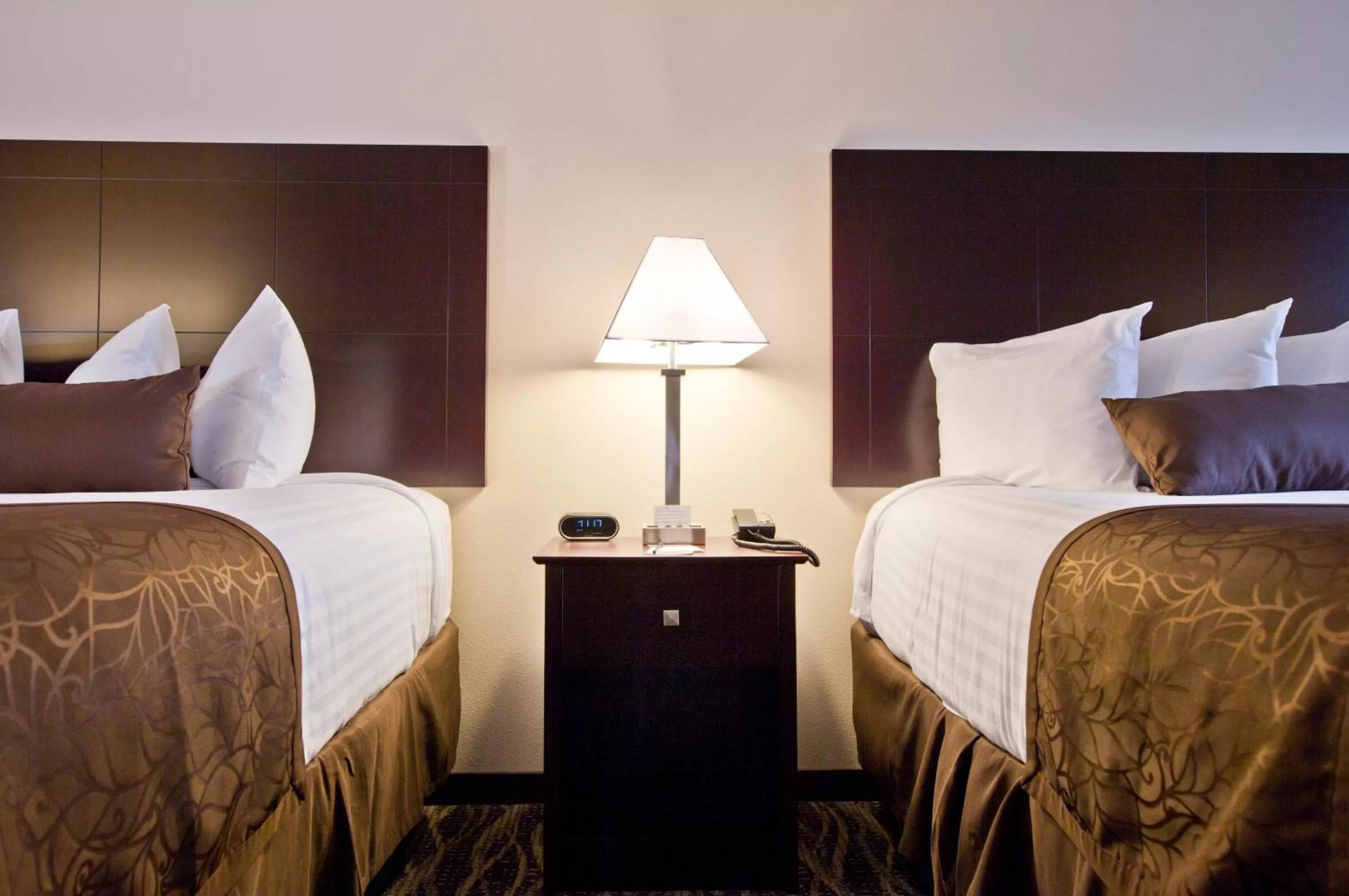 Deluxe Queen Room in Cobblestone Inn & Suites - Boone