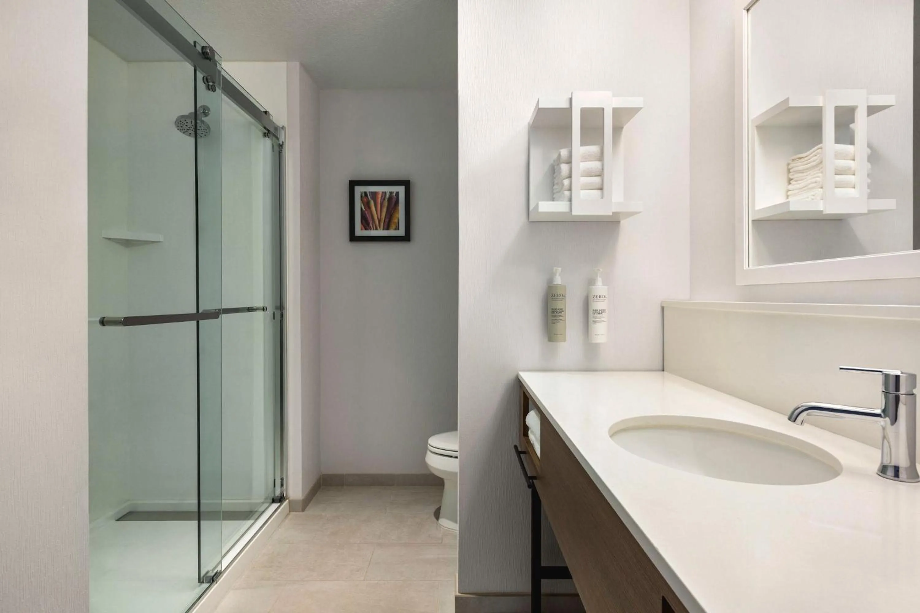 King Studio with Sofa Bed - Hearing Accessible in Hampton Inn Stockton, Ca