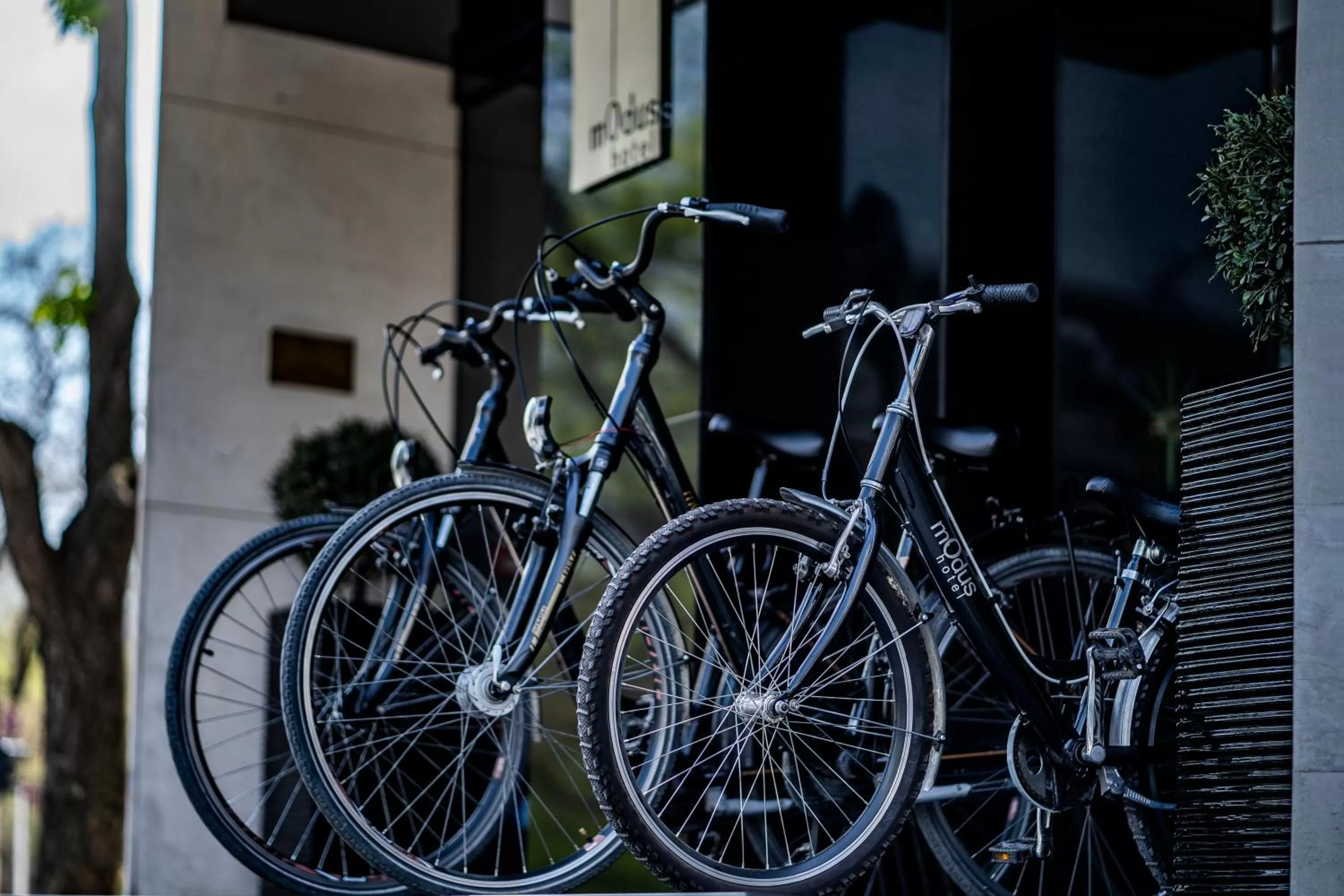 Cycling in mOdus Hotel